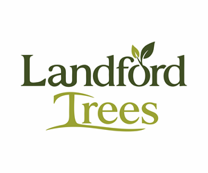 Logo Design by The Art Store