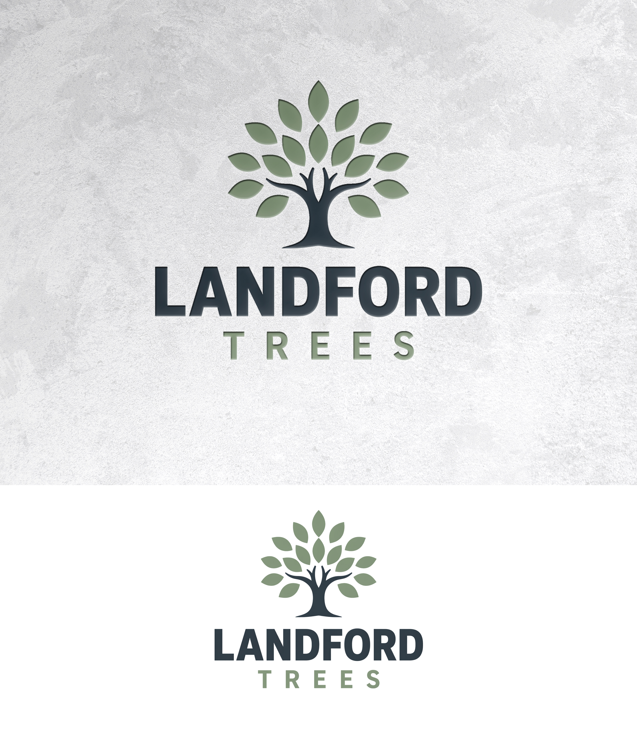 Design de Logo par zamdi pour Landford Trees Ltd | Design #37439251