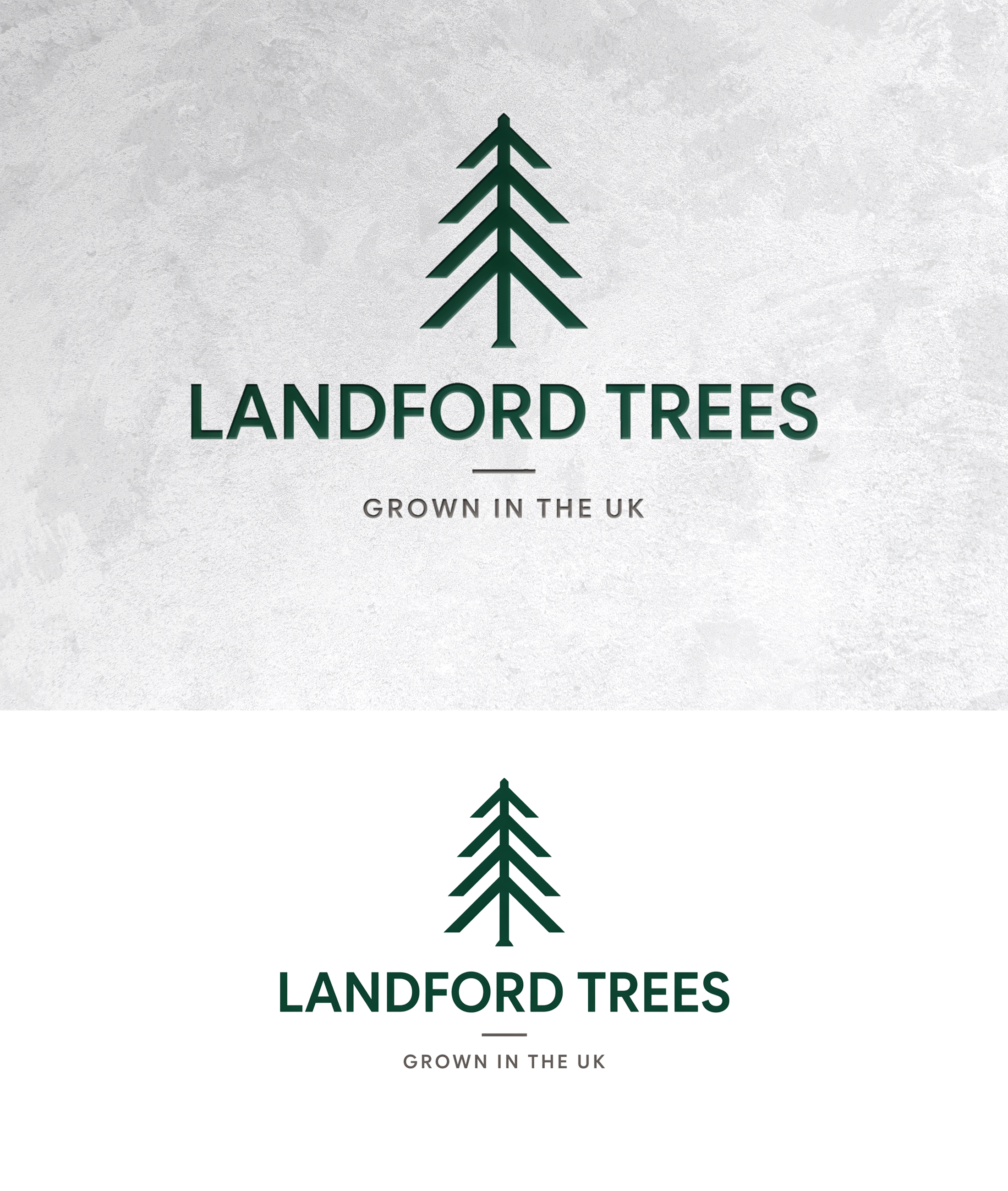 Design de Logo par zamdi pour Landford Trees Ltd | Design #37439252