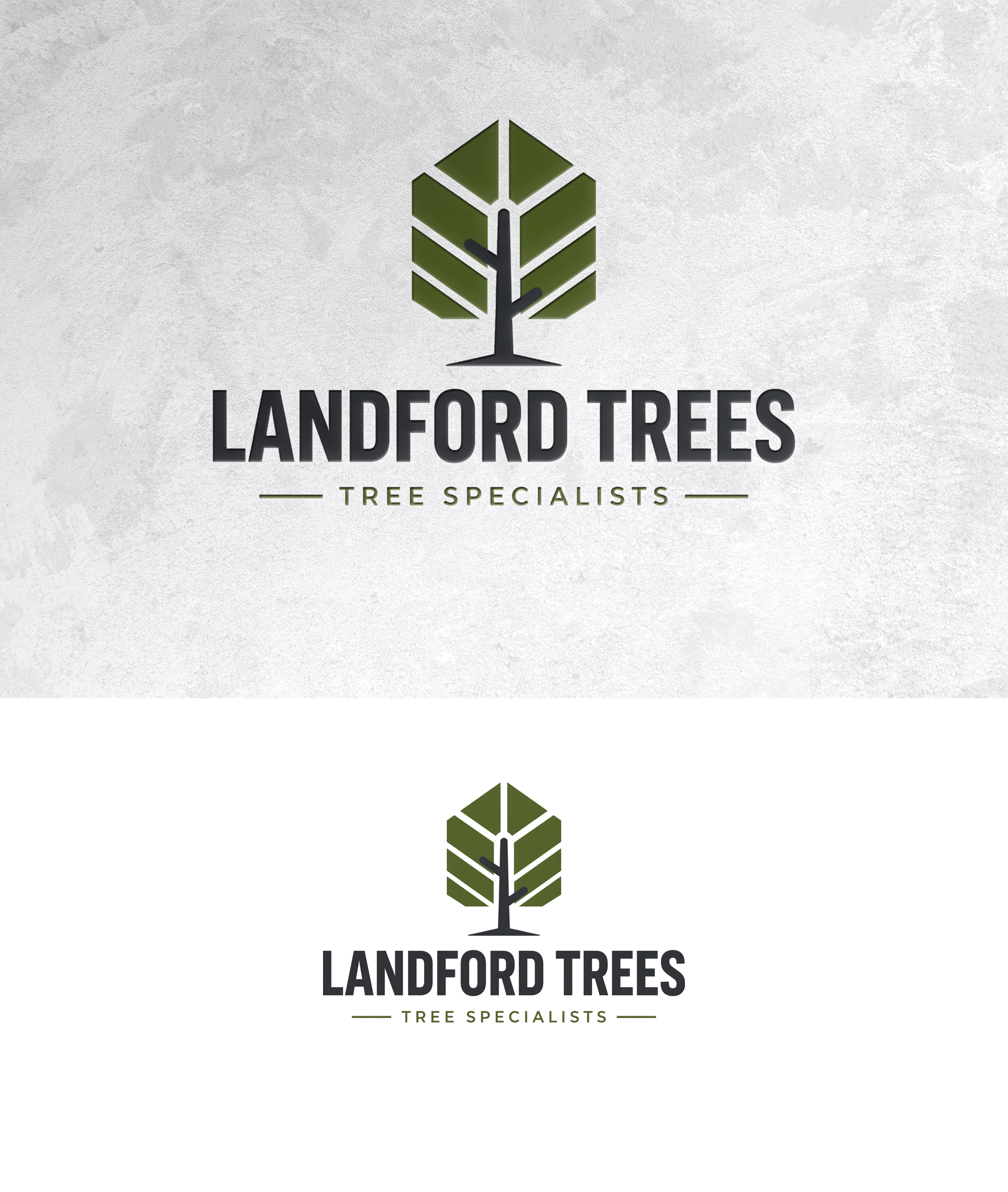 Design de Logo par zamdi pour Landford Trees Ltd | Design #37439258