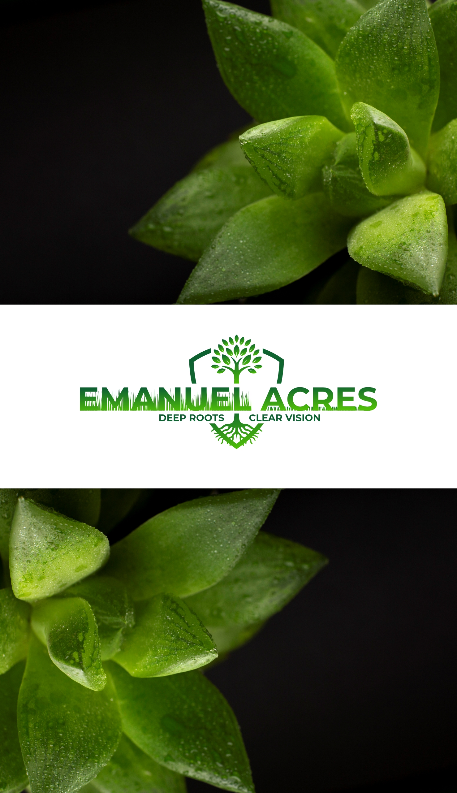Logo Design by noon3897 for this project | Design #37441801