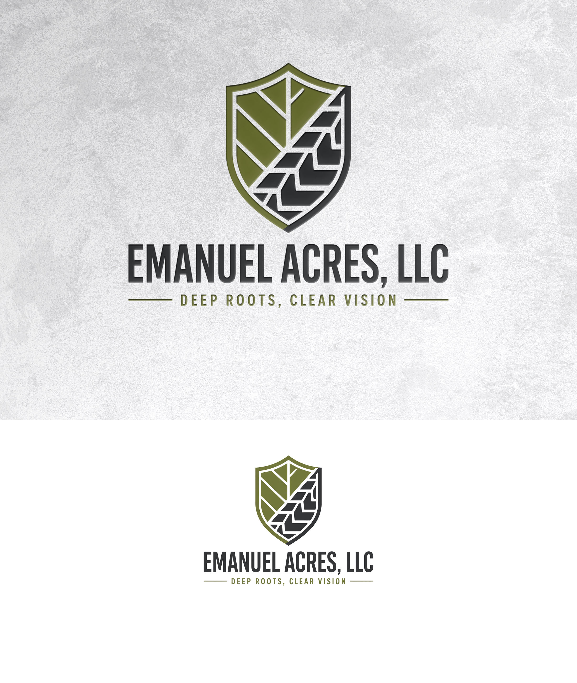 Logo Design by zamdi for this project | Design #37433389