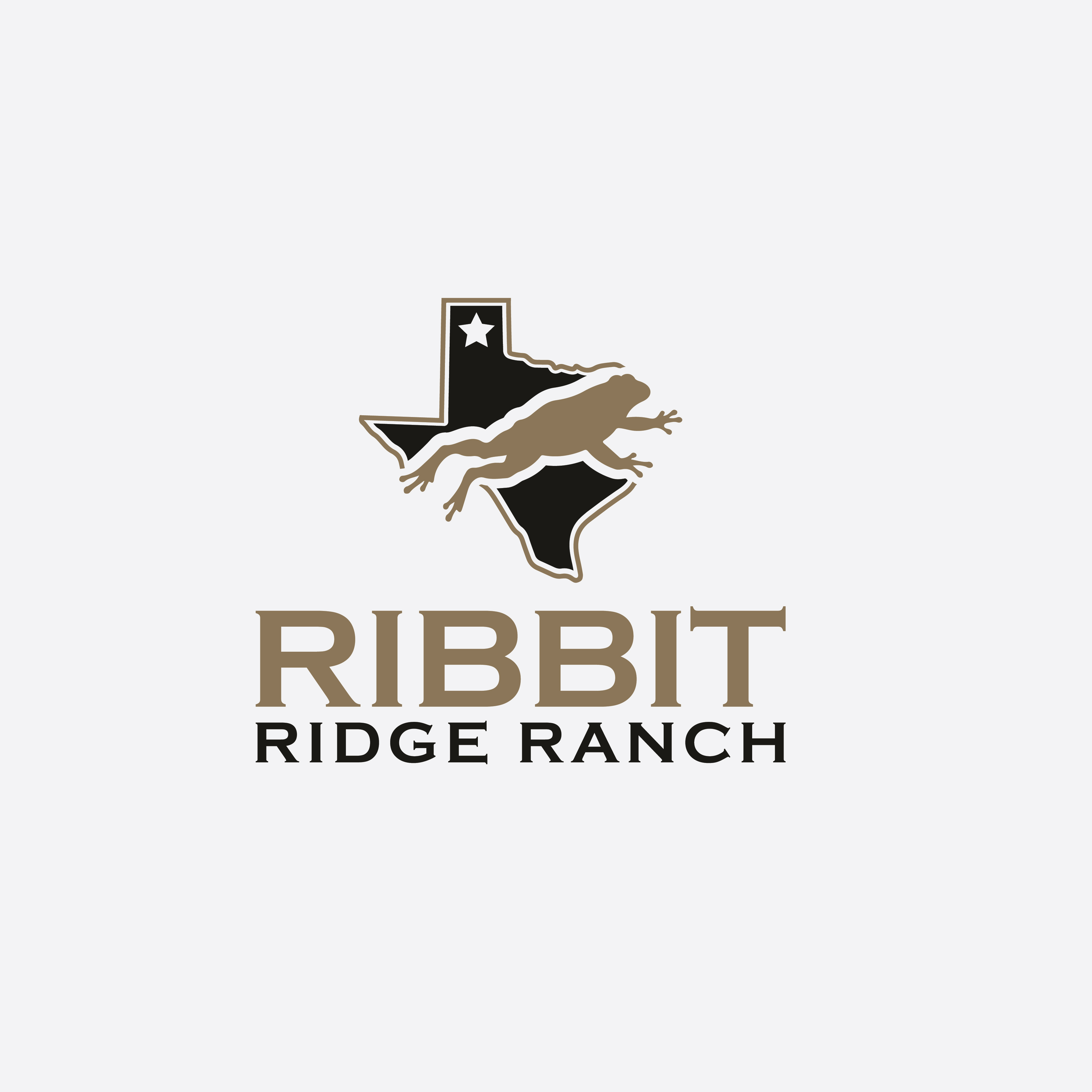 Logo Design by Designer Nayem for this project | Design #37444619