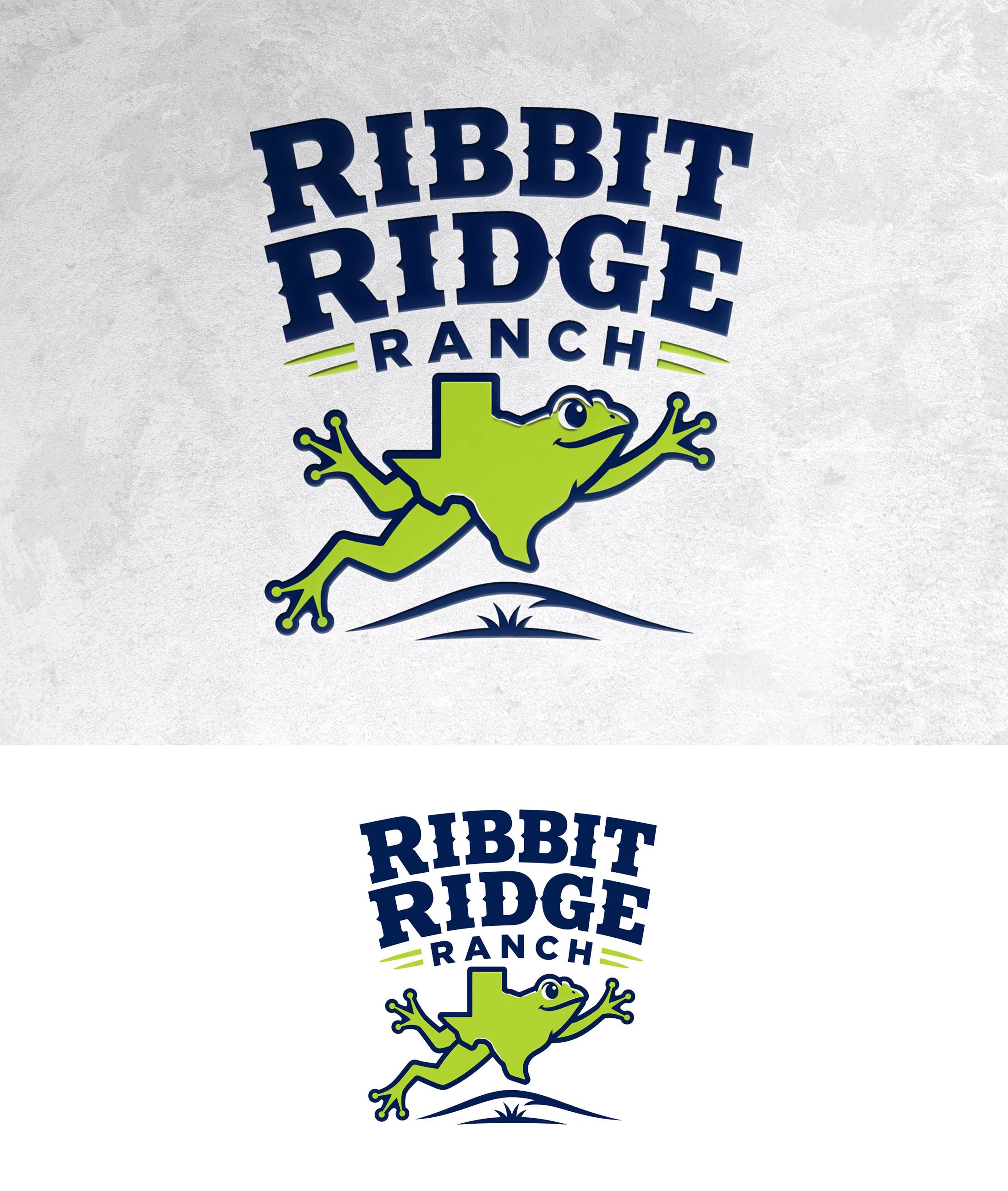 Logo Design by zamdi for this project | Design #37446891