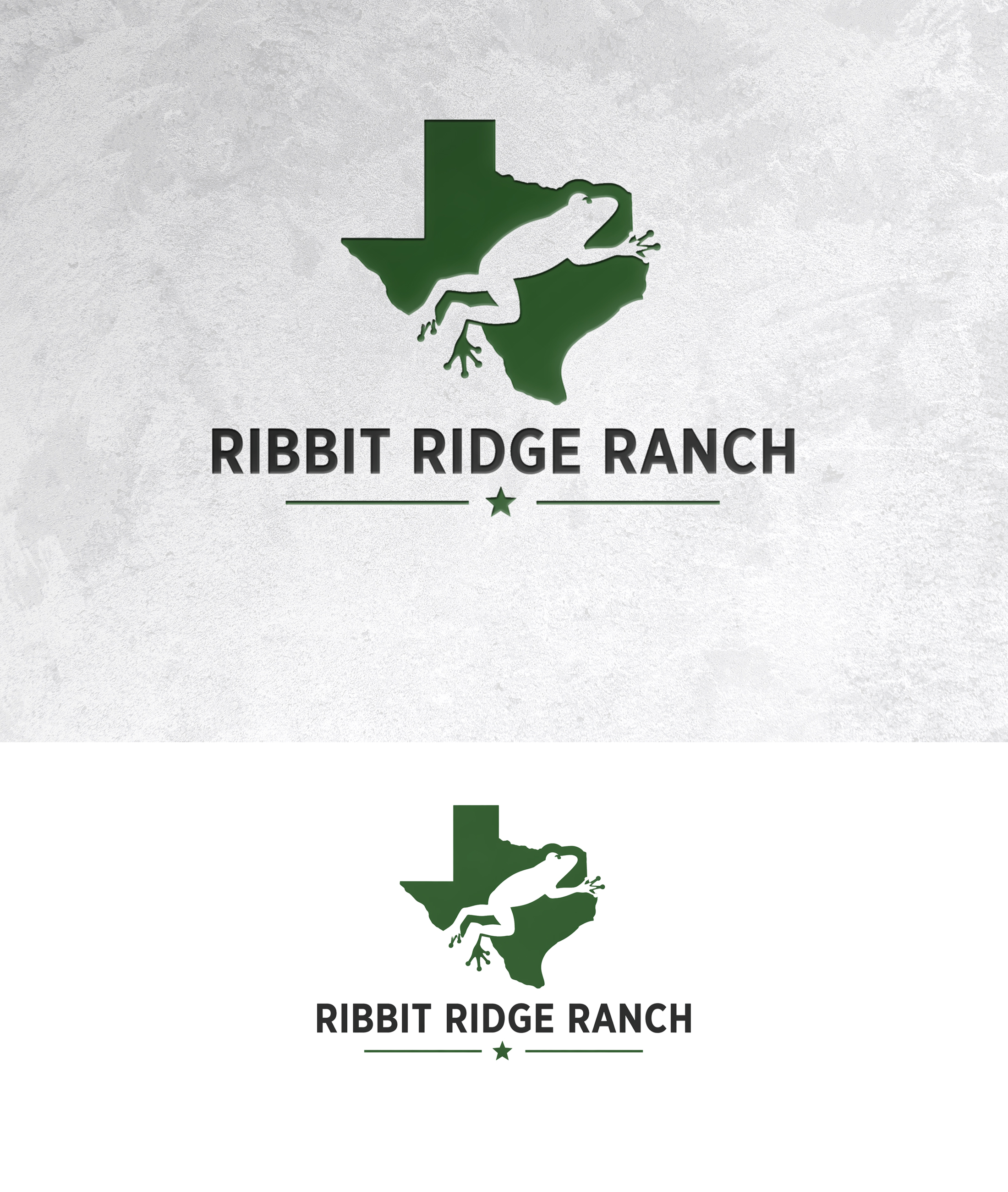 Logo Design by zamdi for this project | Design #37446892