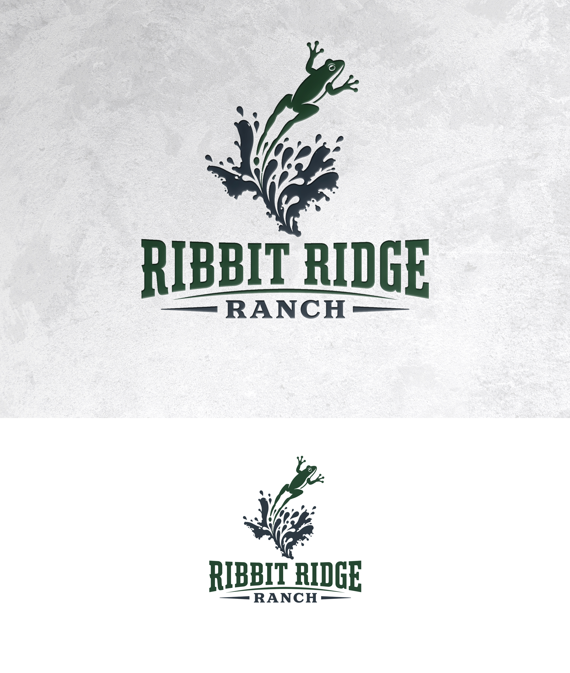 Logo Design by zamdi for this project | Design #37446893