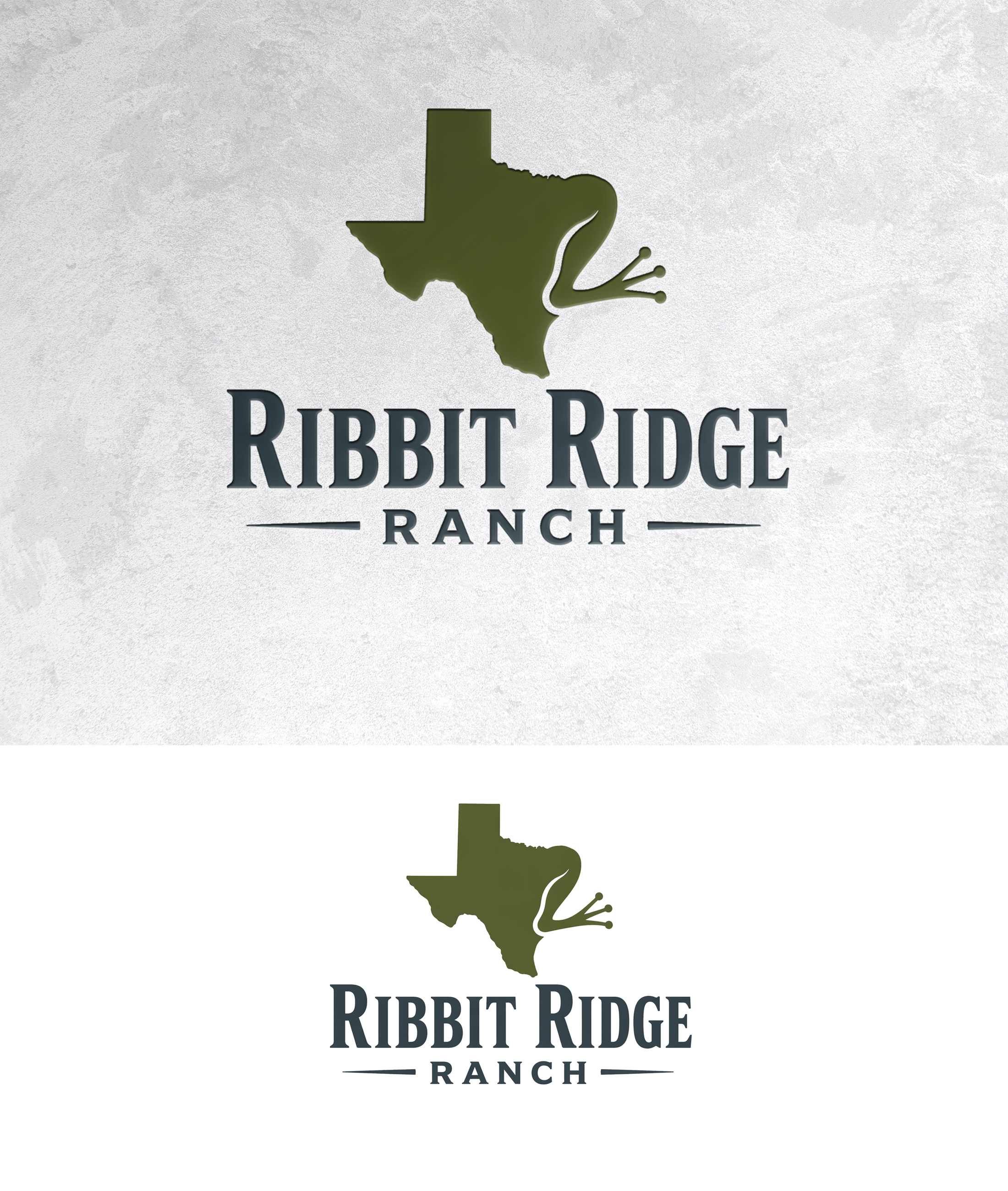 Logo Design by zamdi for this project | Design #37446894