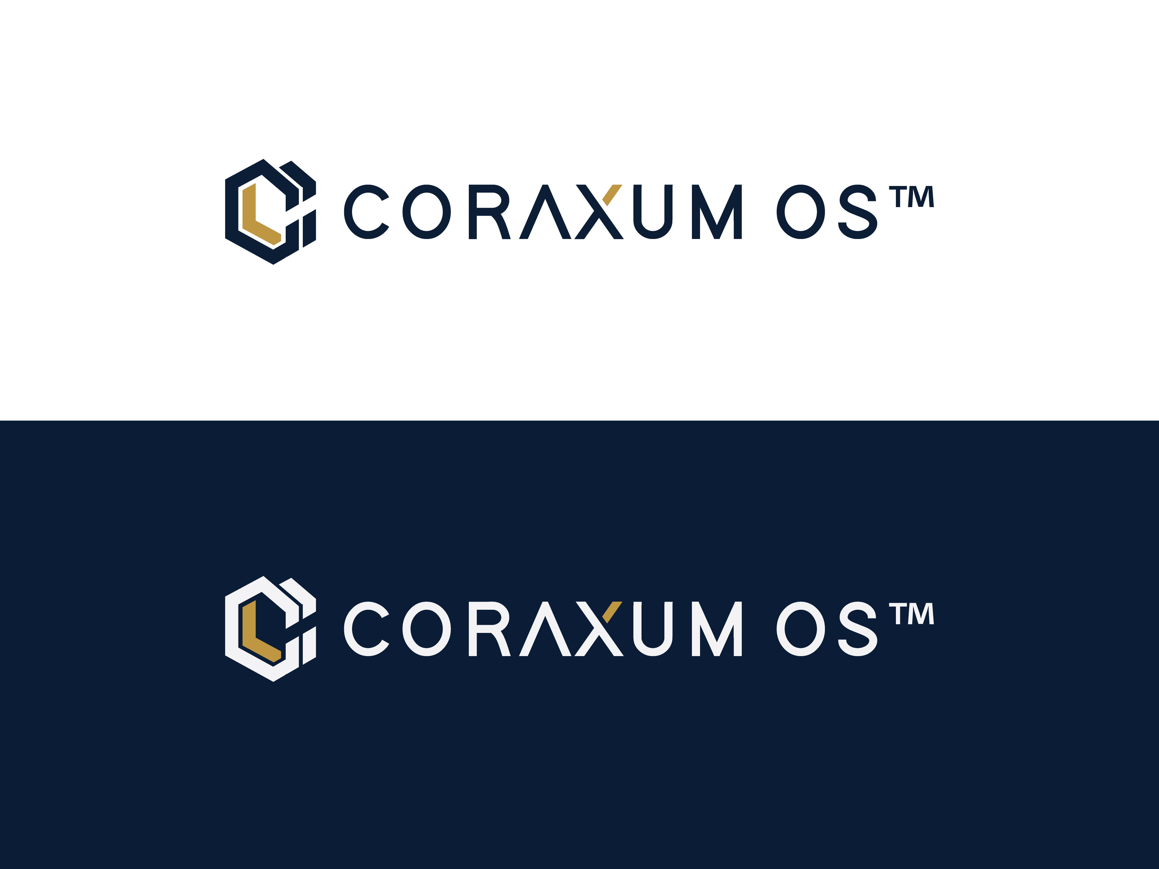 Logo Design by RobloxPro for this project | Design #37446588