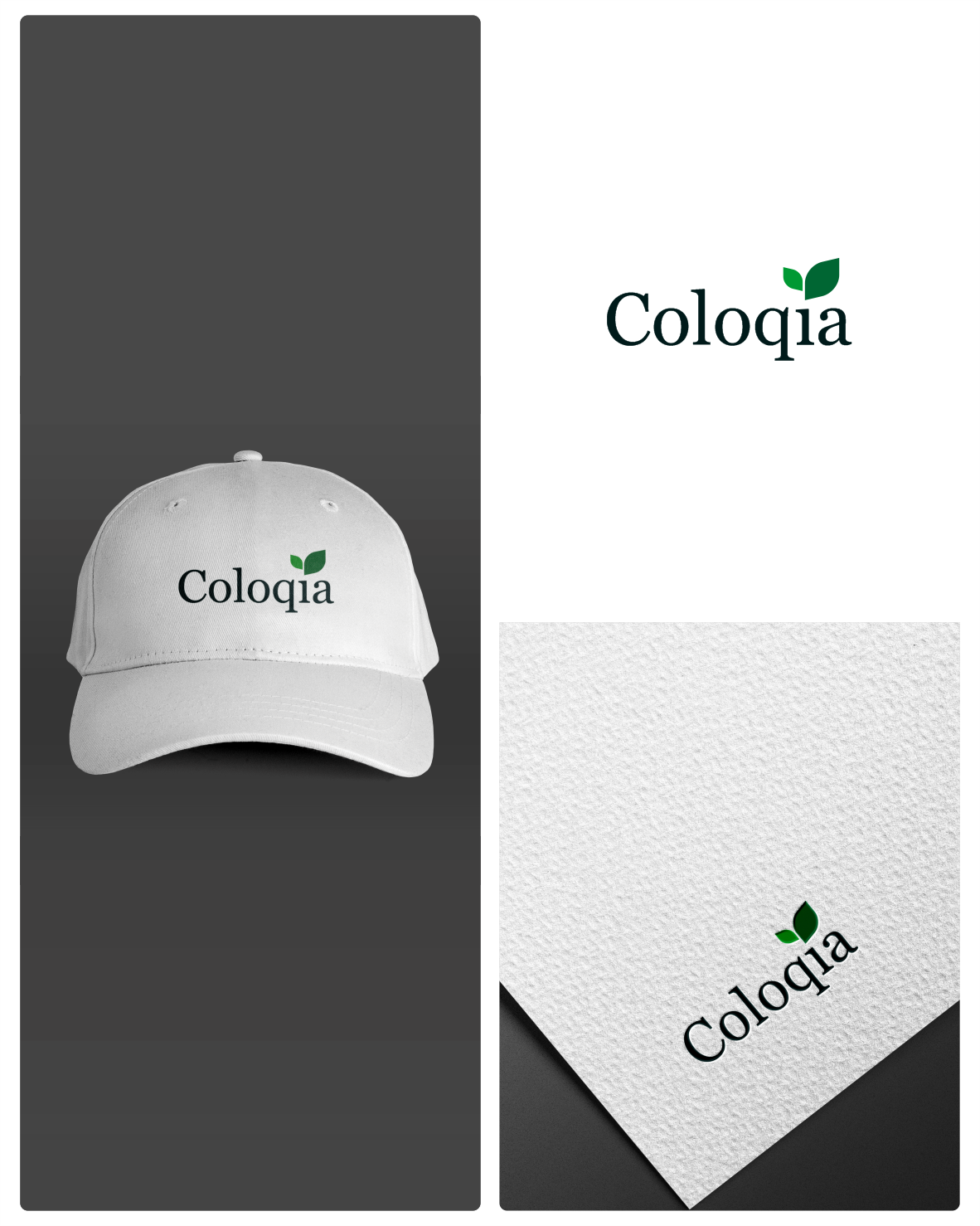Logo Design by momo57 for this project | Design #37462581
