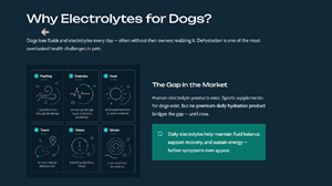 PowerPoint Design by brandsoup for this project | Design: #37450920