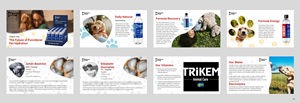 PowerPoint Design by pb for this project | Design: #37455739