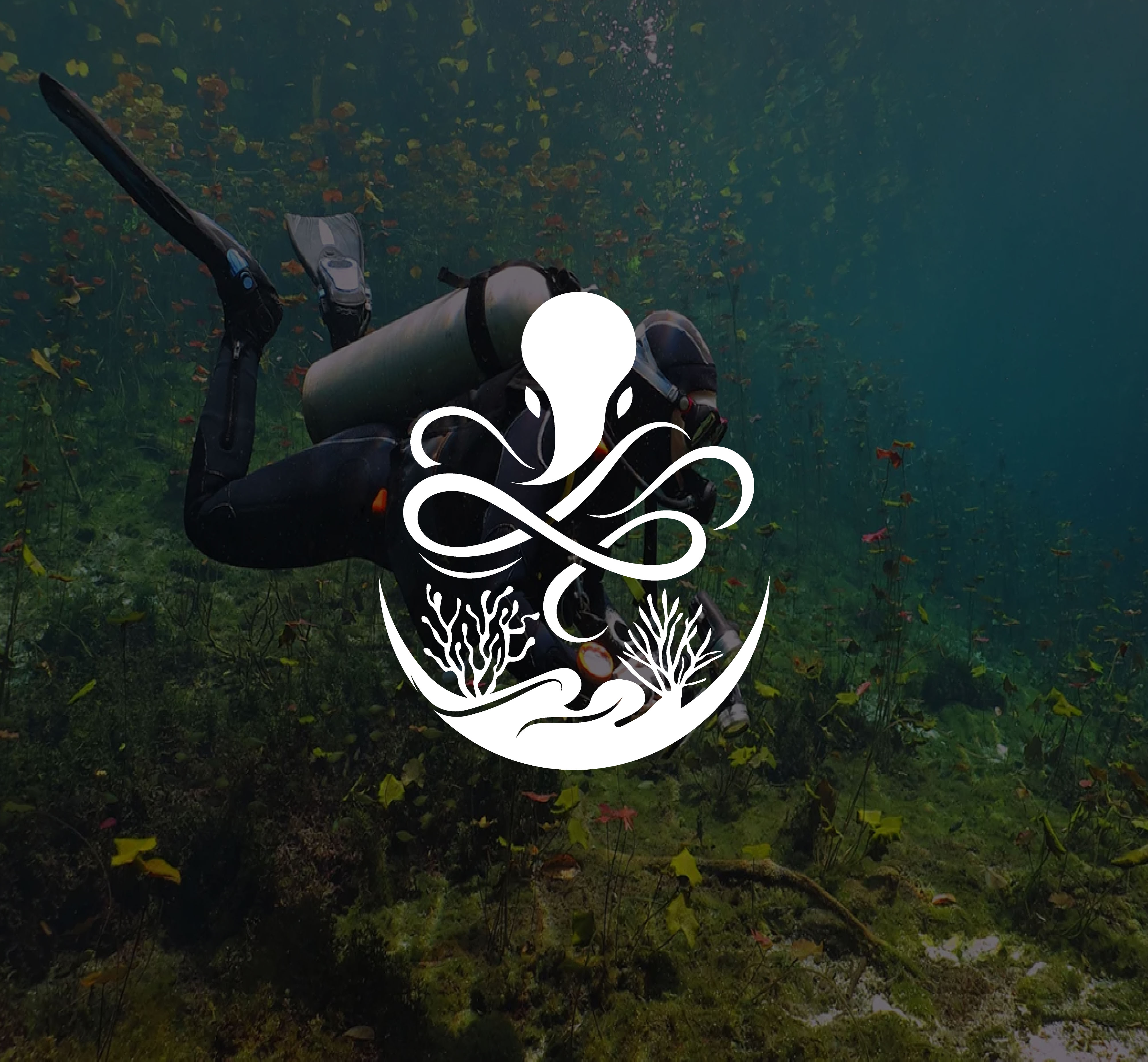 Logo Design by ladia_design for this project | Design #37471743
