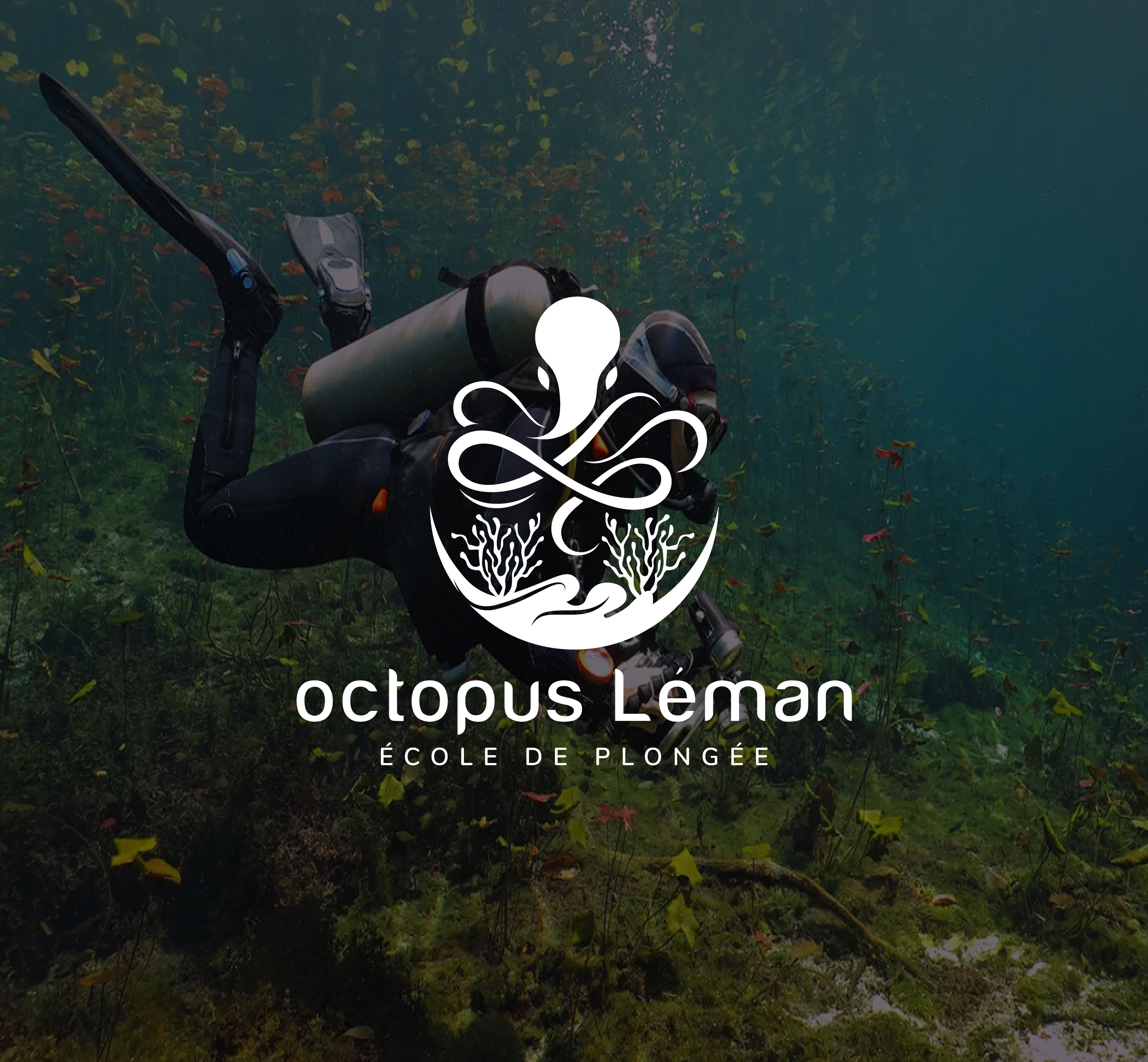 Logo Design by ladia_design for this project | Design #37472722