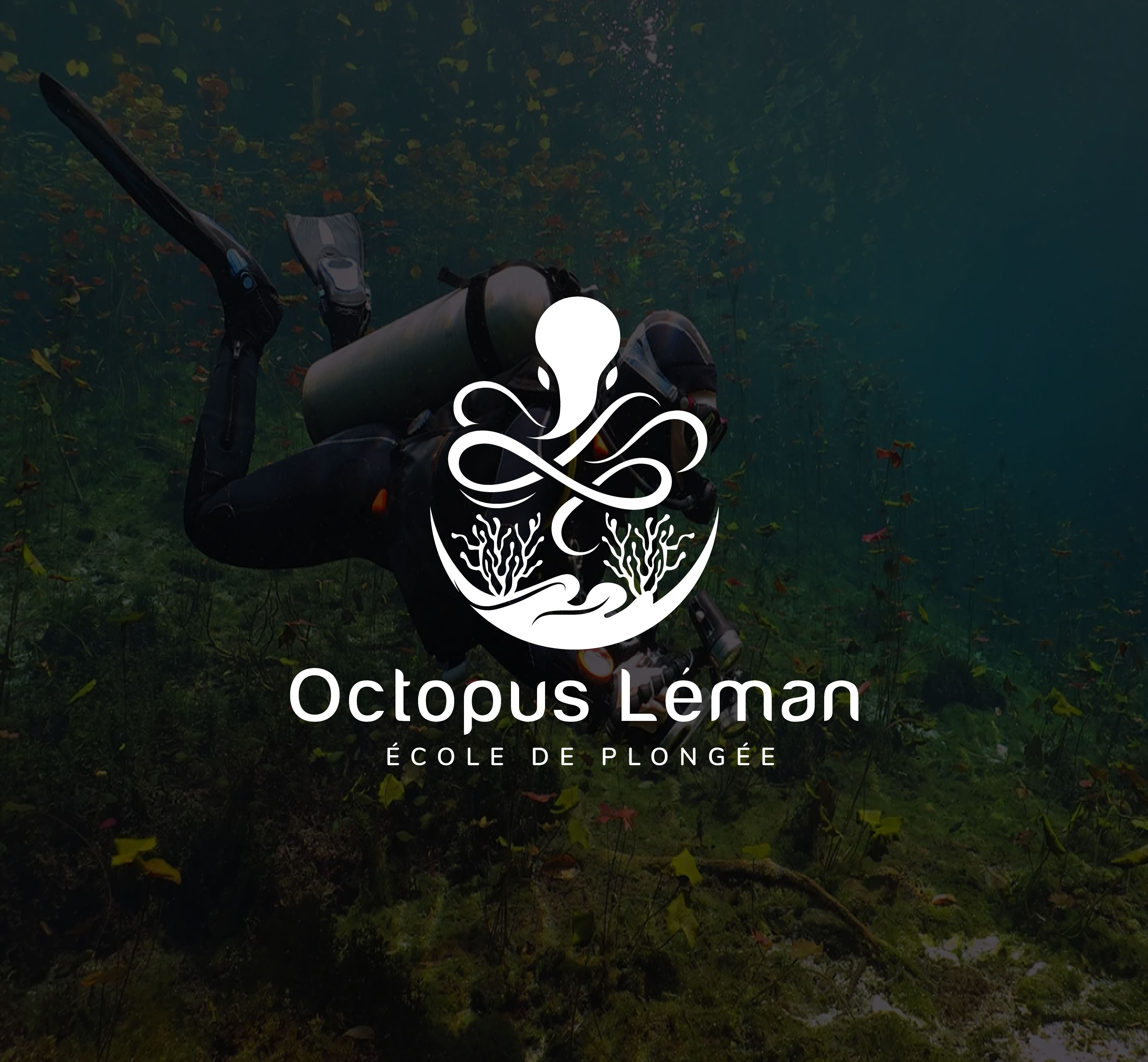 Logo Design by ladia_design for this project | Design #37473492