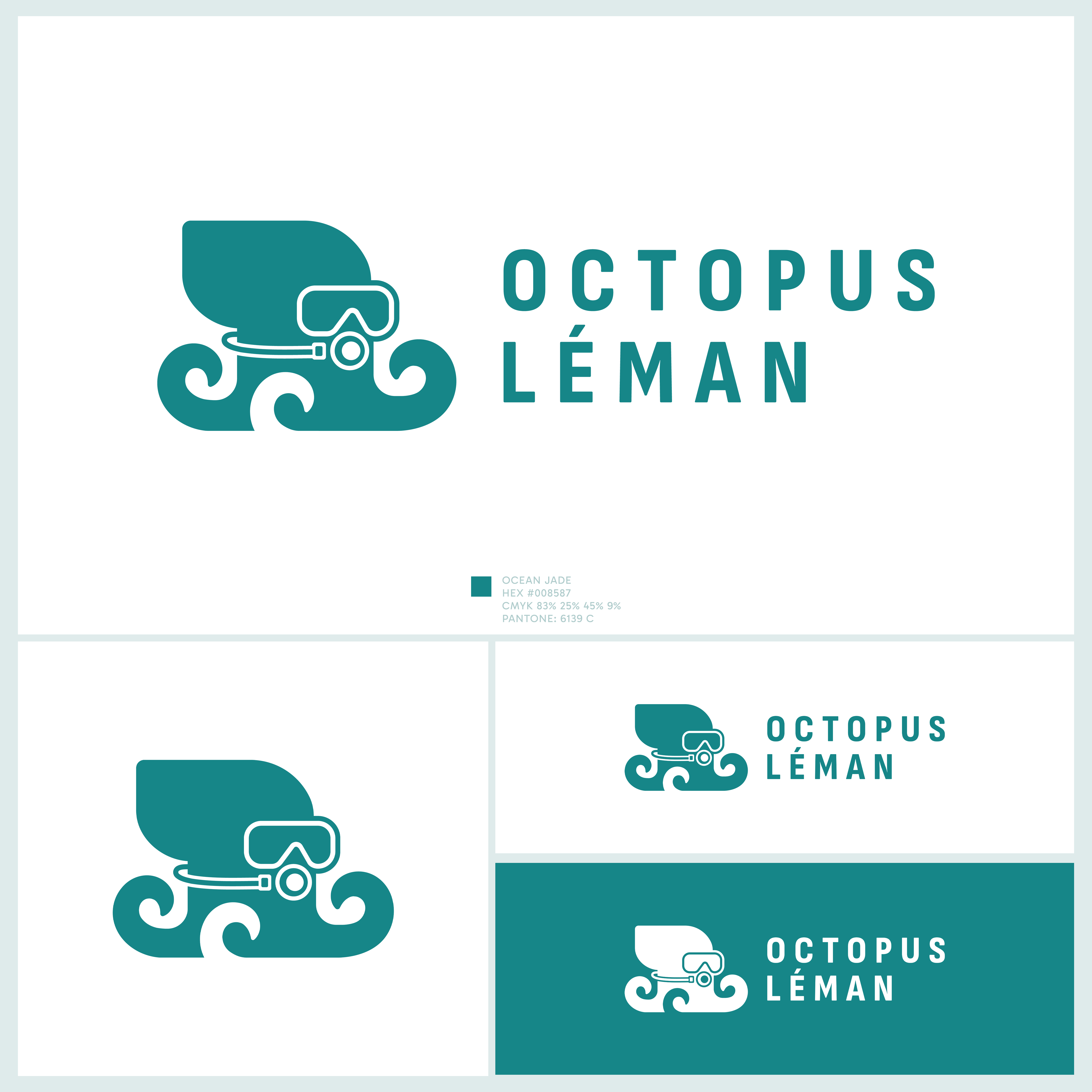 Logo Design by iohanna for this project | Design #37461030