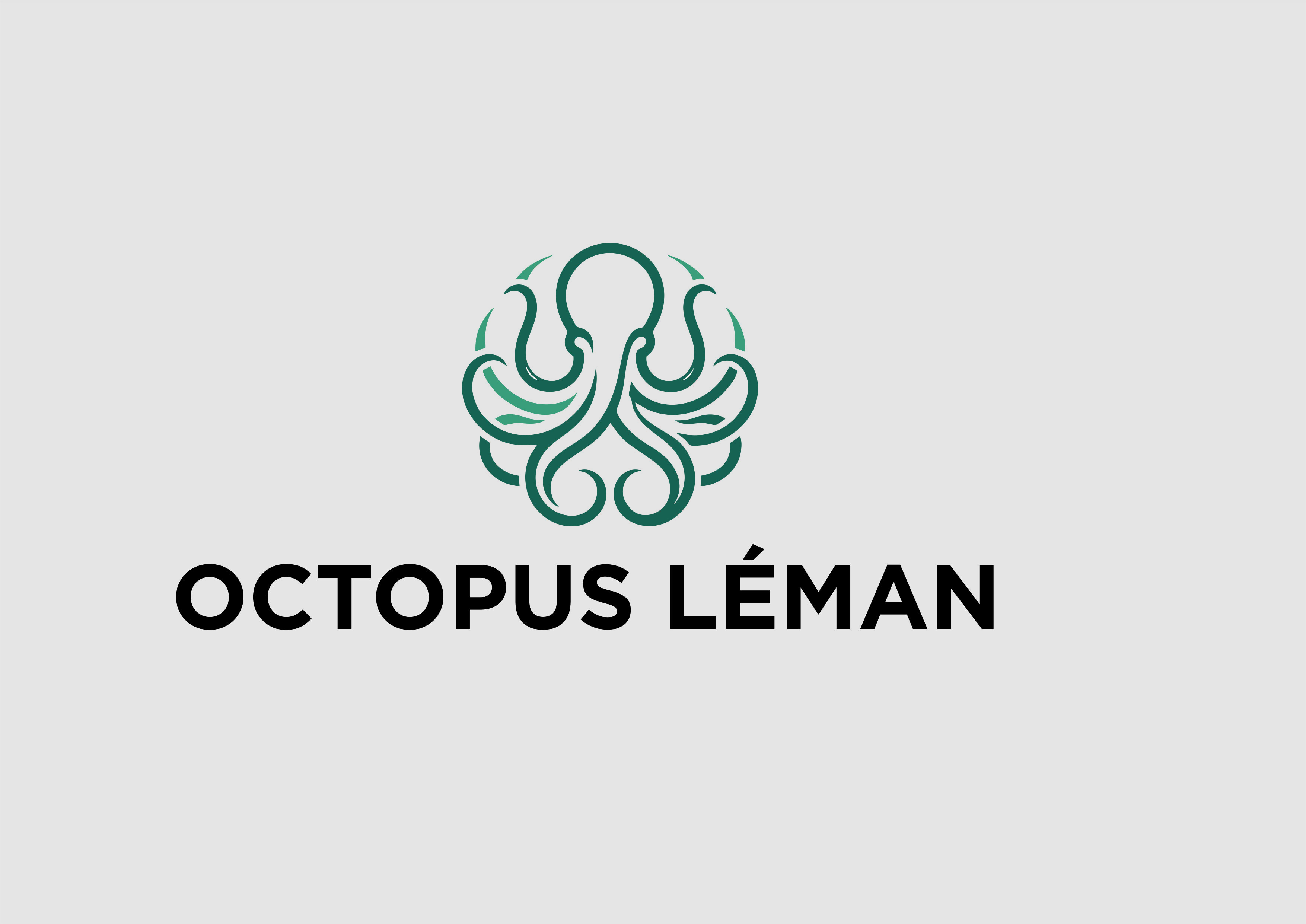 Diseño de Logo por ipommm vvti para este proyecto | Diseño #37463091