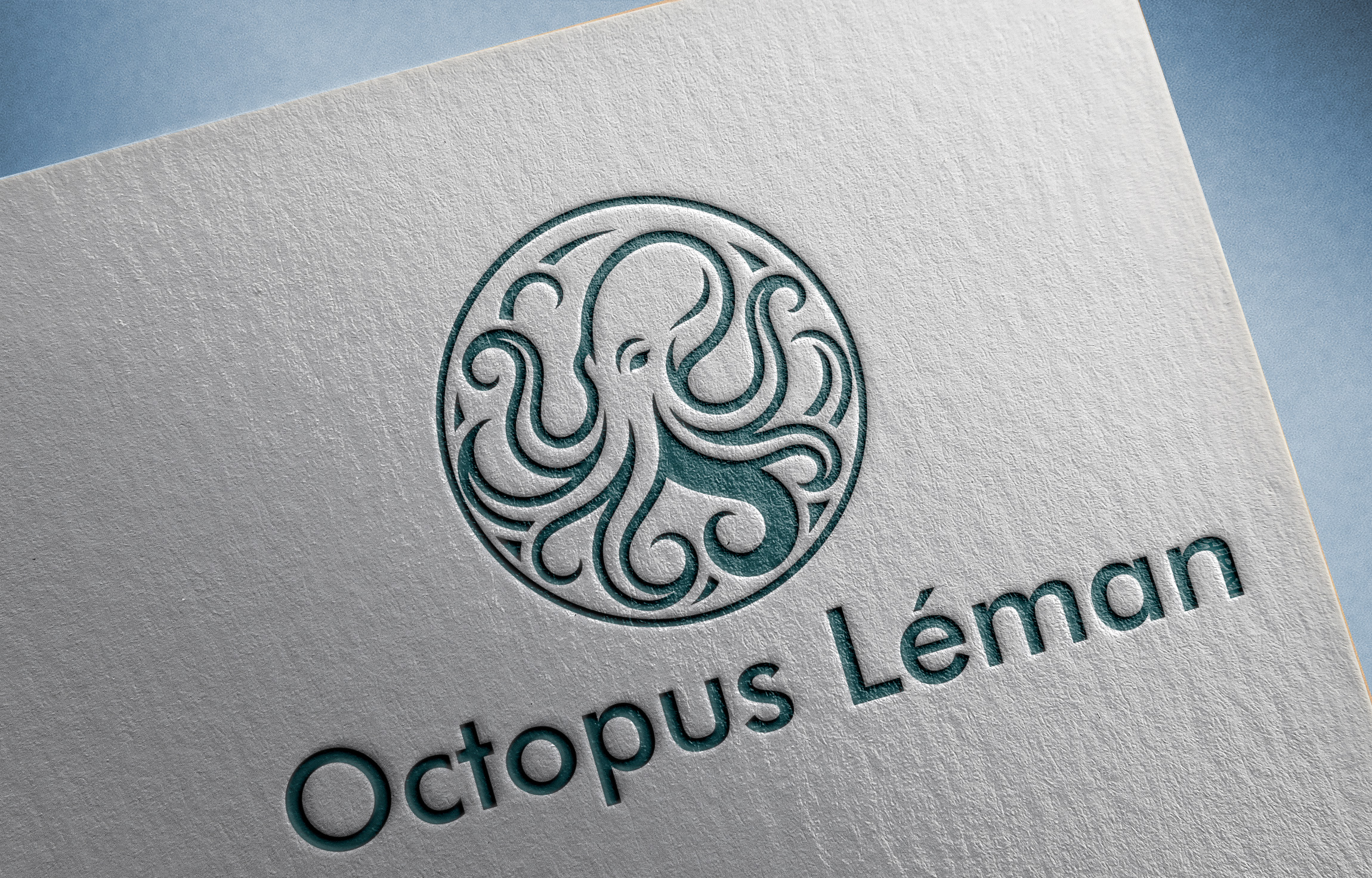 Diseño de Logo por ipommm vvti para este proyecto | Diseño #37463092