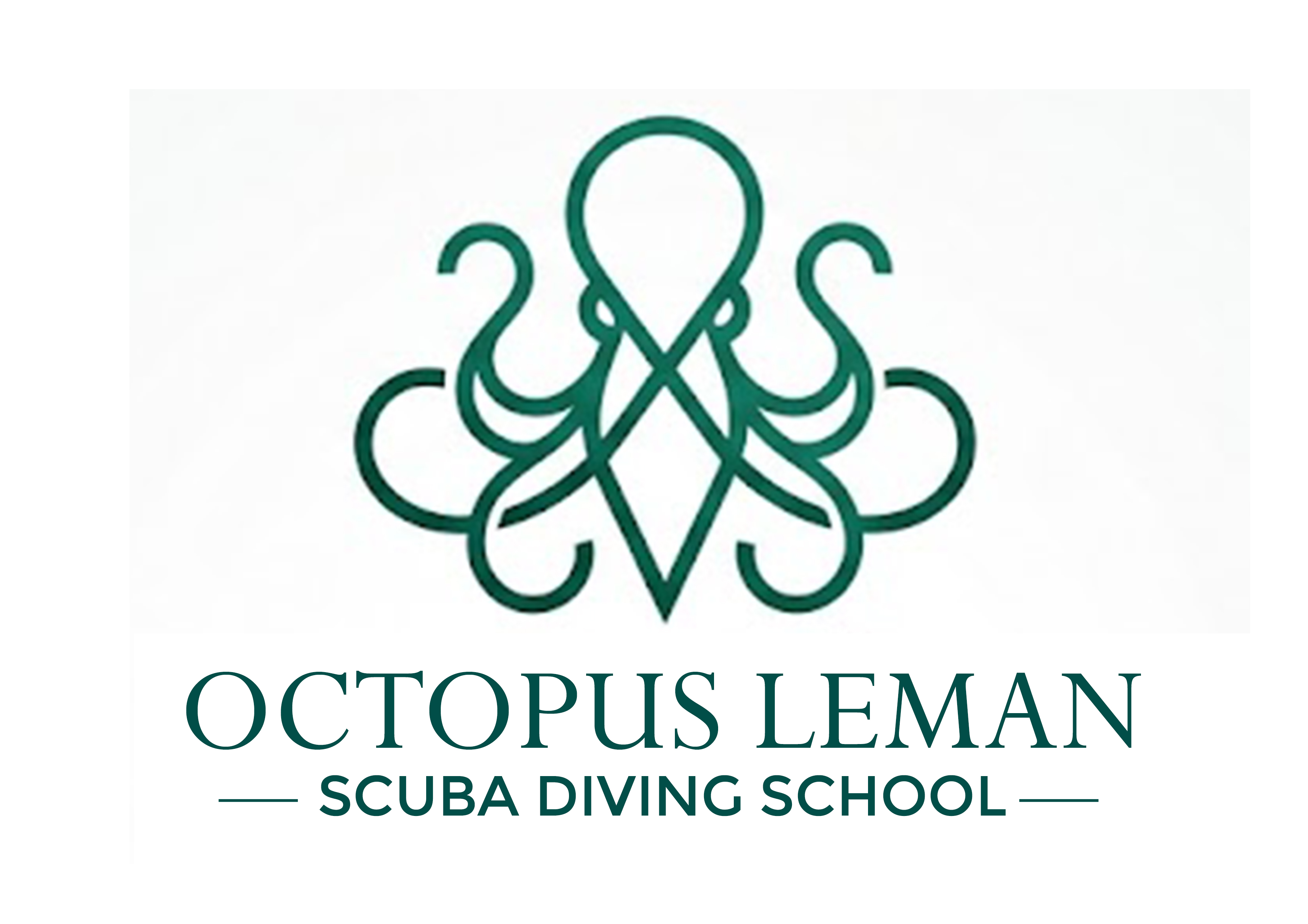 Logo Design by Brand aid for this project | Design #37463100