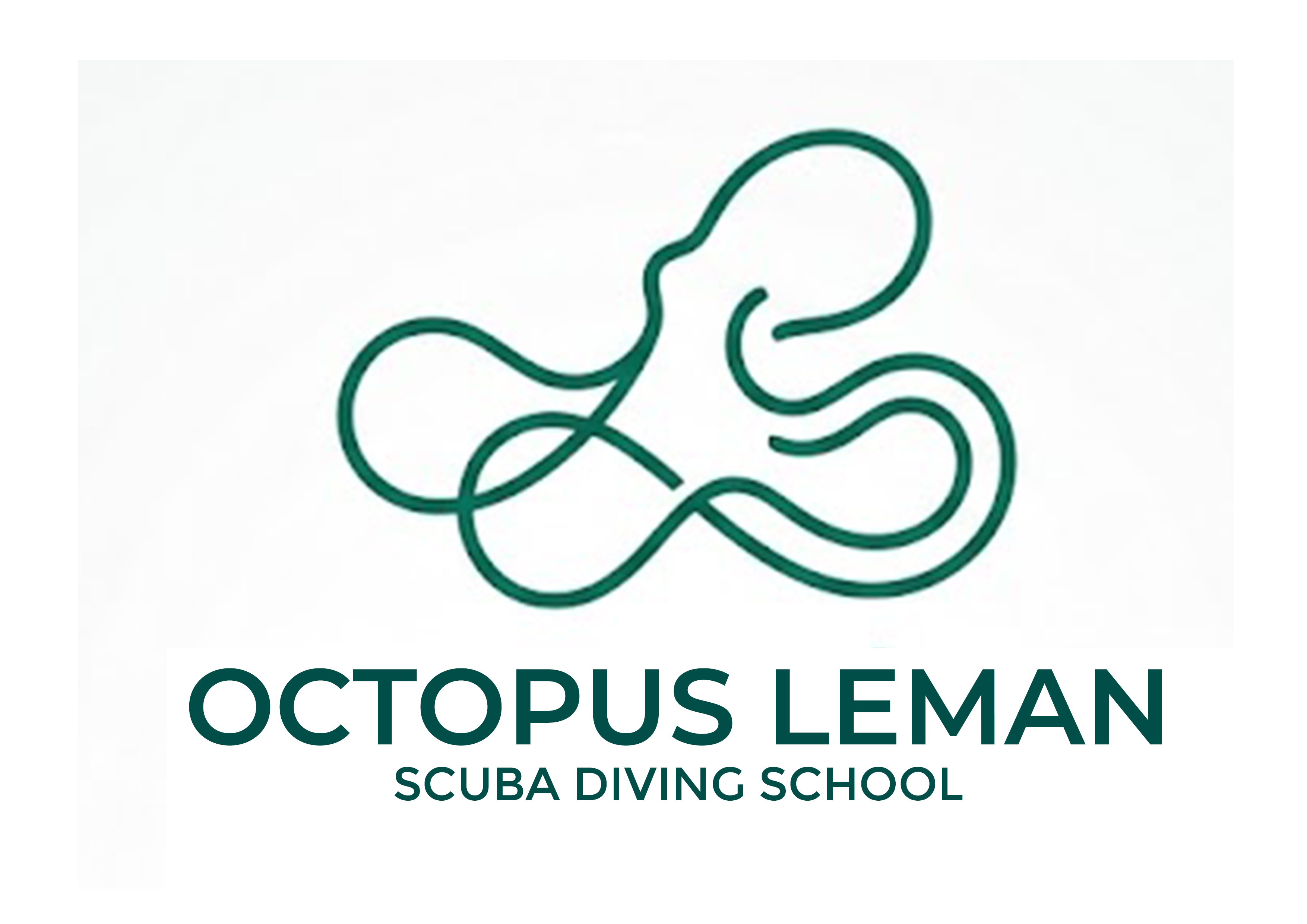 Logo Design by Brand aid for this project | Design #37463102