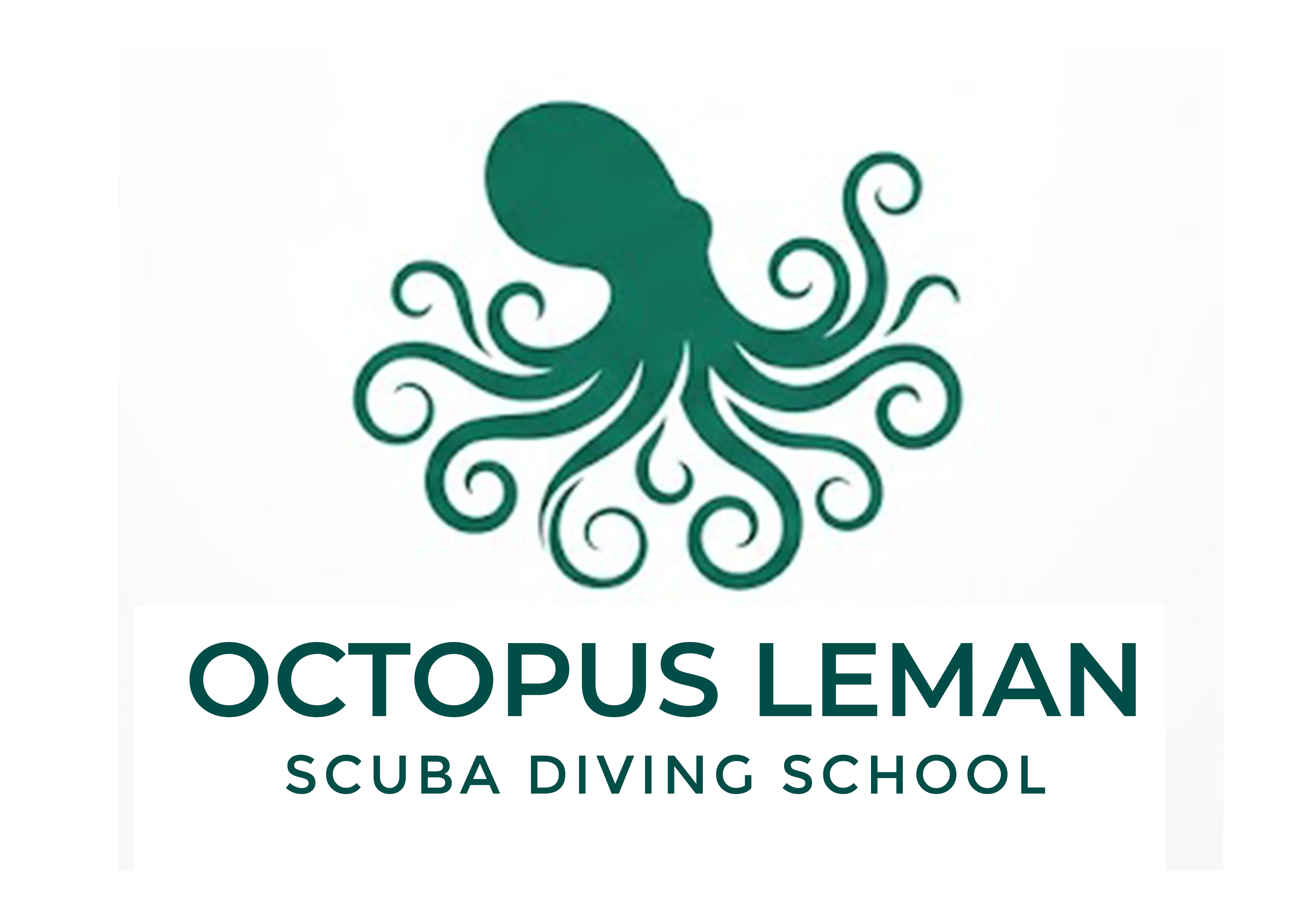 Logo Design by Brand aid for this project | Design #37463103