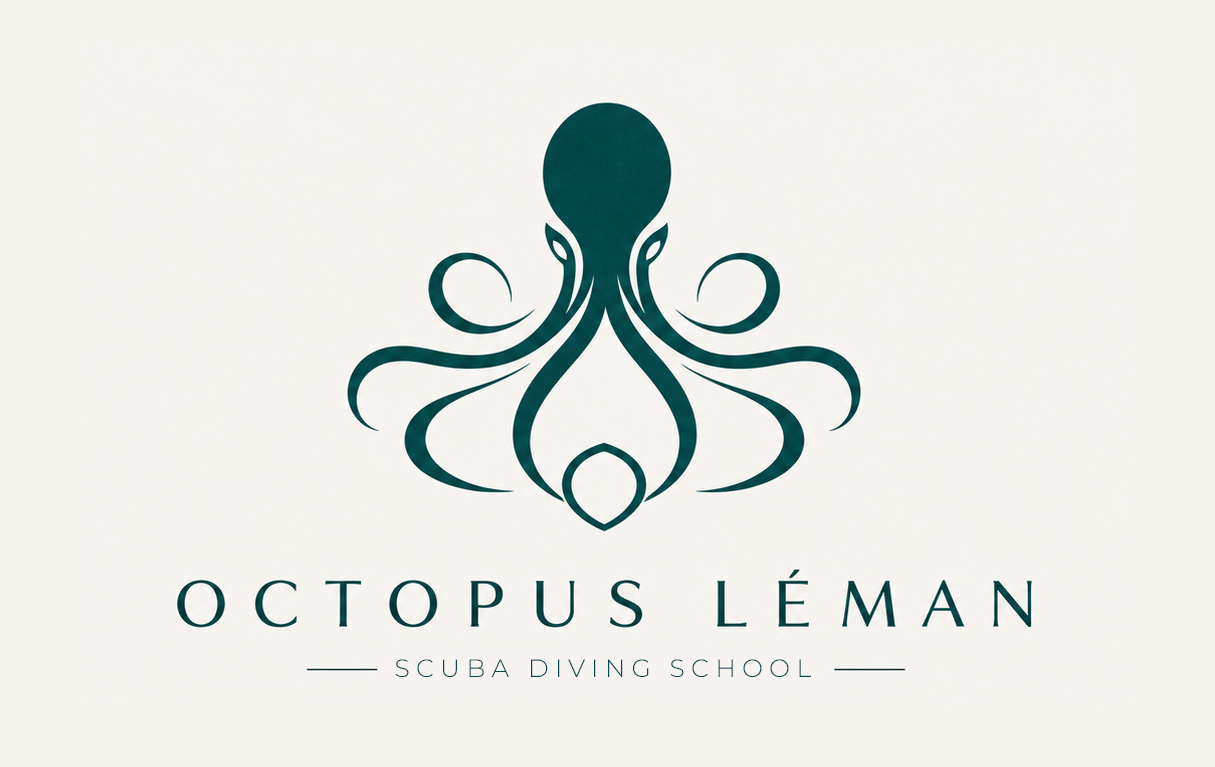 Logo Design by Brand aid for this project | Design #37464352