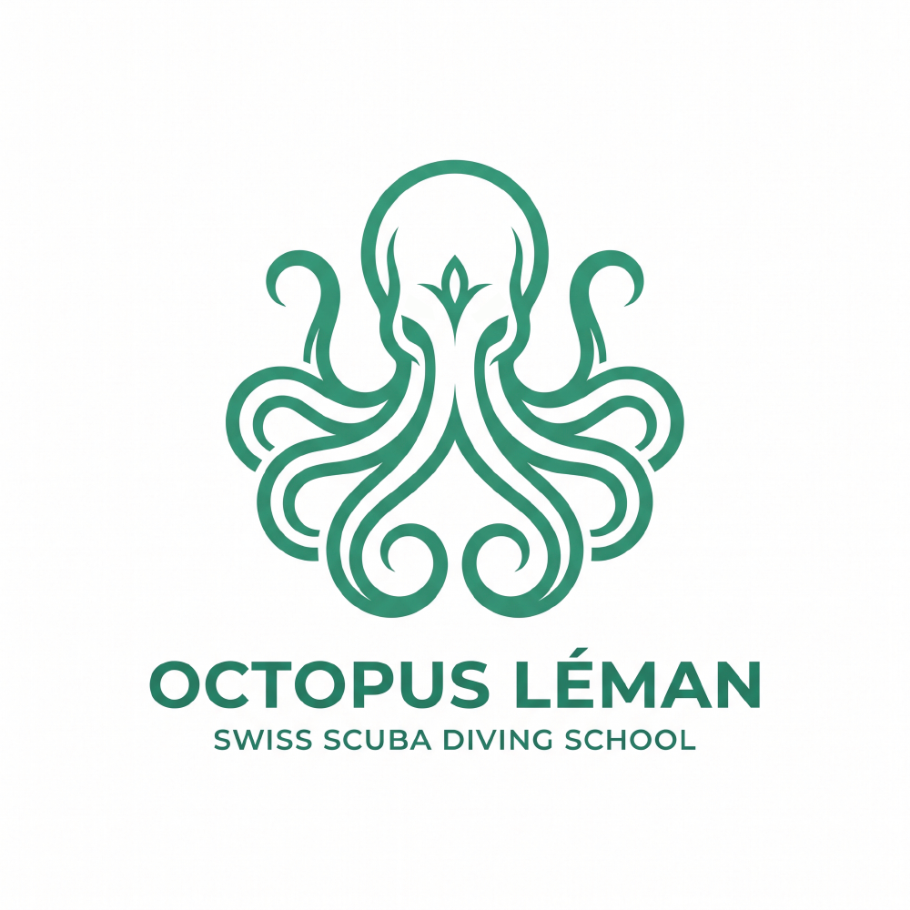 Diseño de Logo por SmitMangukiya para este proyecto | Diseño #37462106