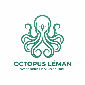 Diseño de Logo por SmitMangukiya para este proyecto | Diseño: #37462106