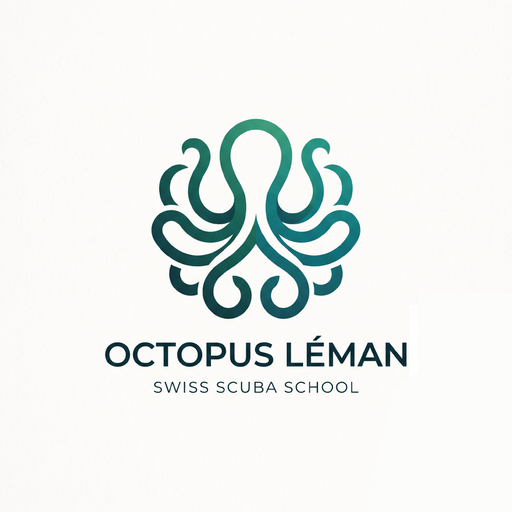 Diseño de Logo por SmitMangukiya para este proyecto | Diseño #37462107
