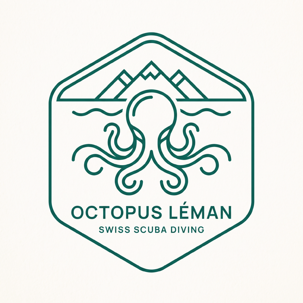 Diseño de Logo por SmitMangukiya para este proyecto | Diseño #37462111