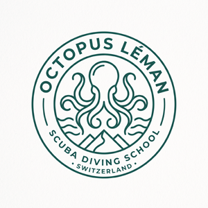 Diseño de Logo por SmitMangukiya para este proyecto | Diseño: #37462112