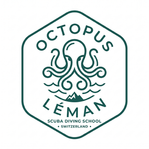 Diseño de Logo por SmitMangukiya para este proyecto | Diseño: #37462113