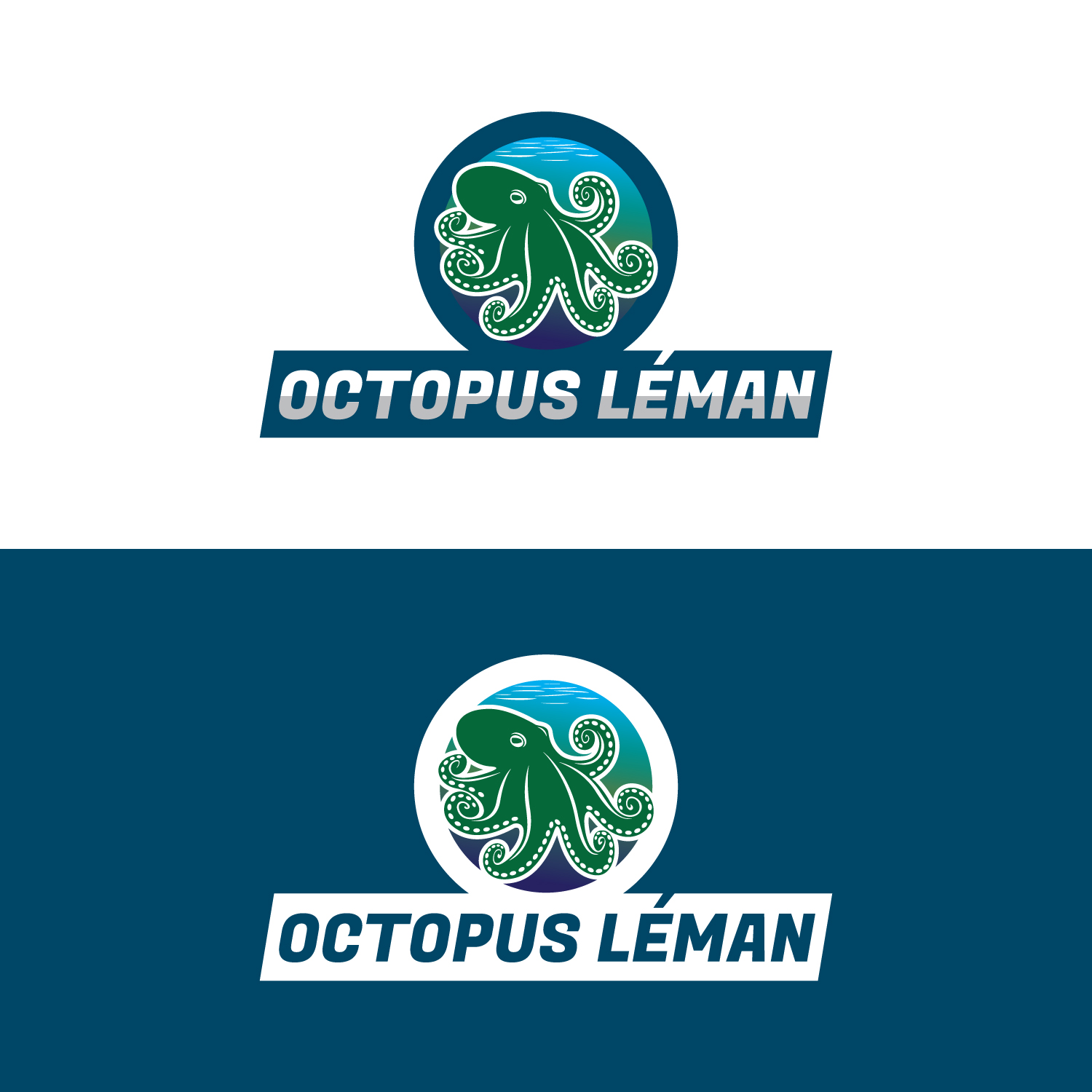 Logo Design by geni for this project | Design #37474353