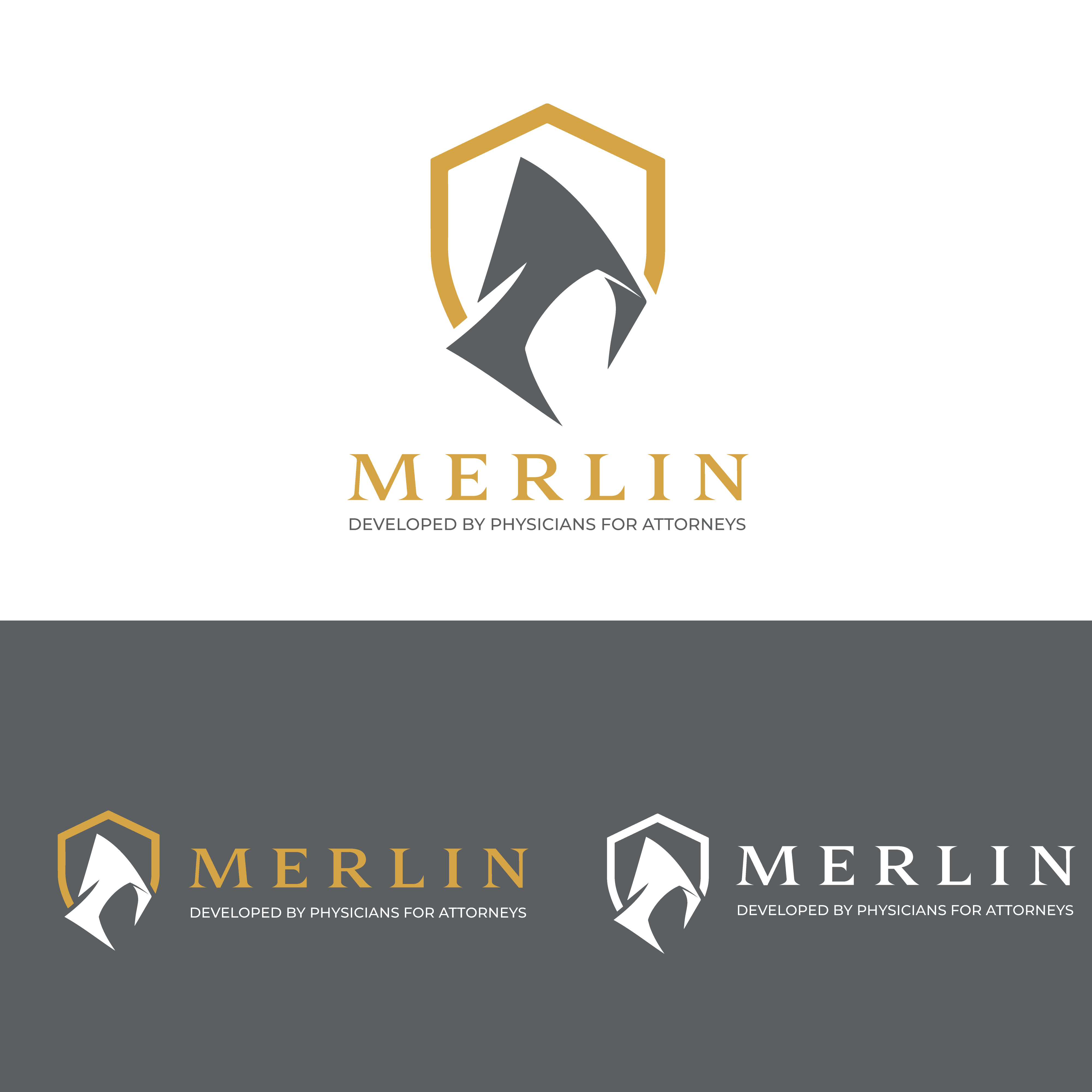 Logo Design by Casey Kelechi for this project | Design #37490272