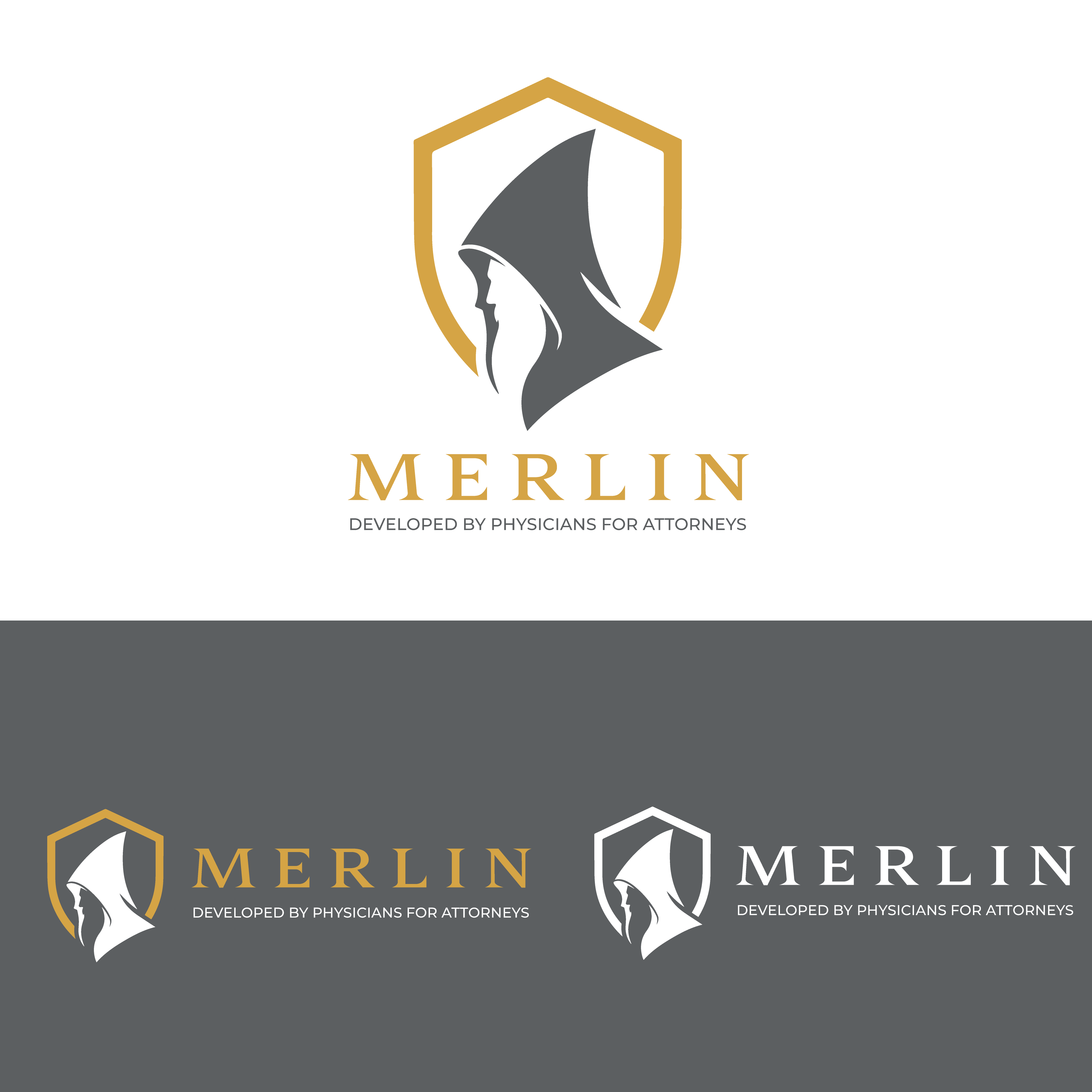 Logo Design by Casey Kelechi for this project | Design #37490273