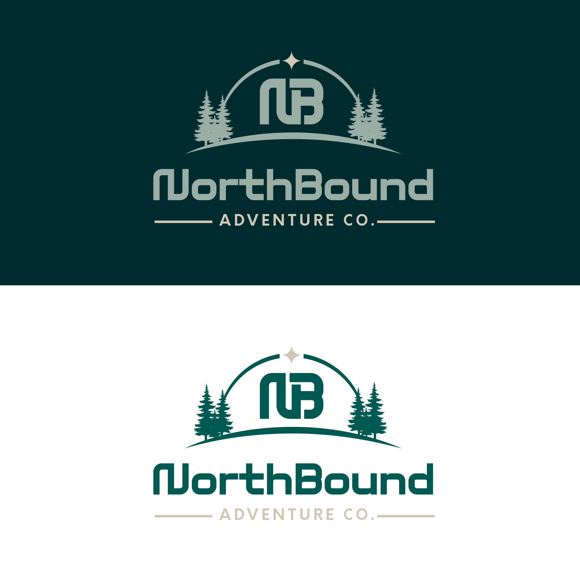 Logo Design by Talha Ahmad for this project | Design #37491104
