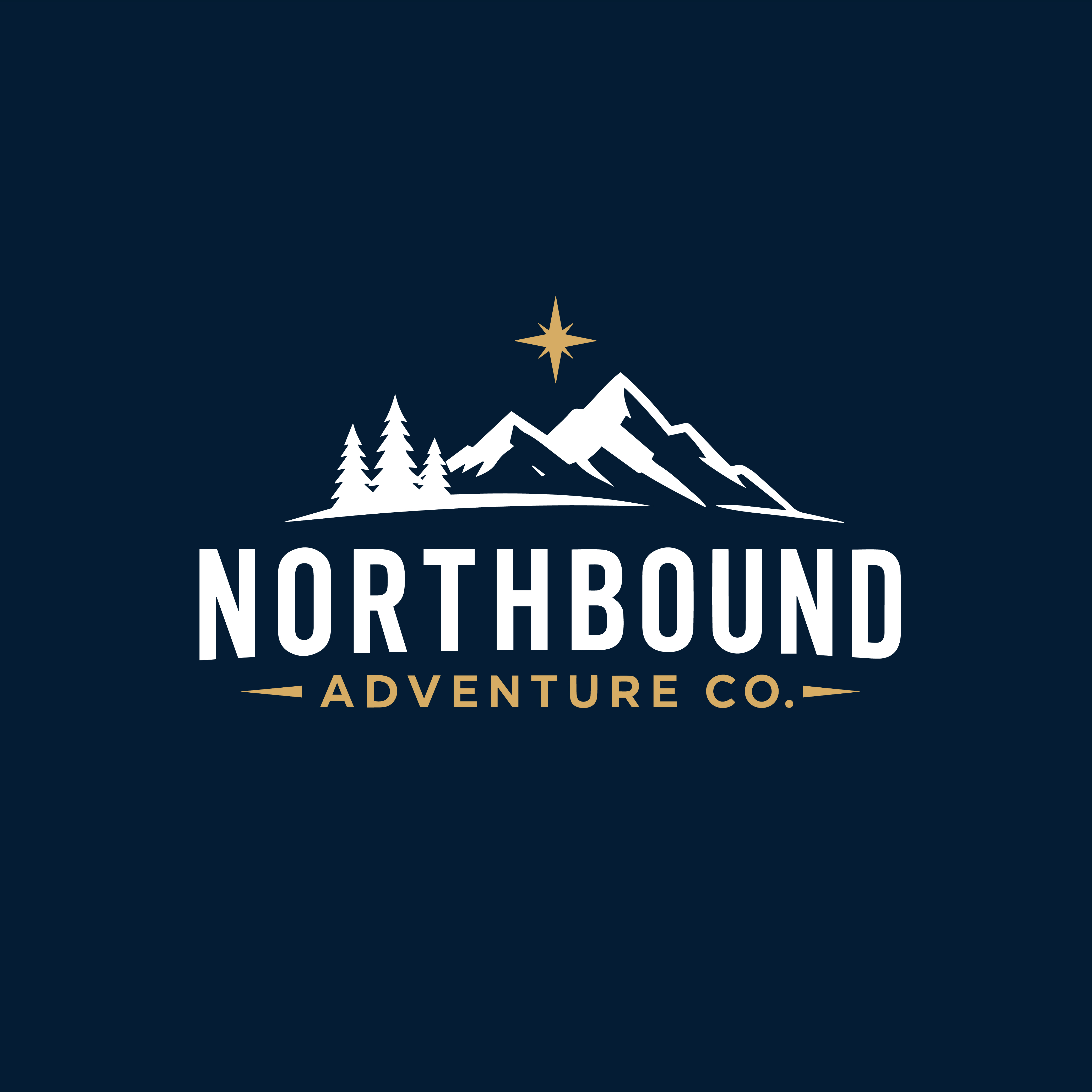 Logo Design by ares_h1 for this project | Design #37490603