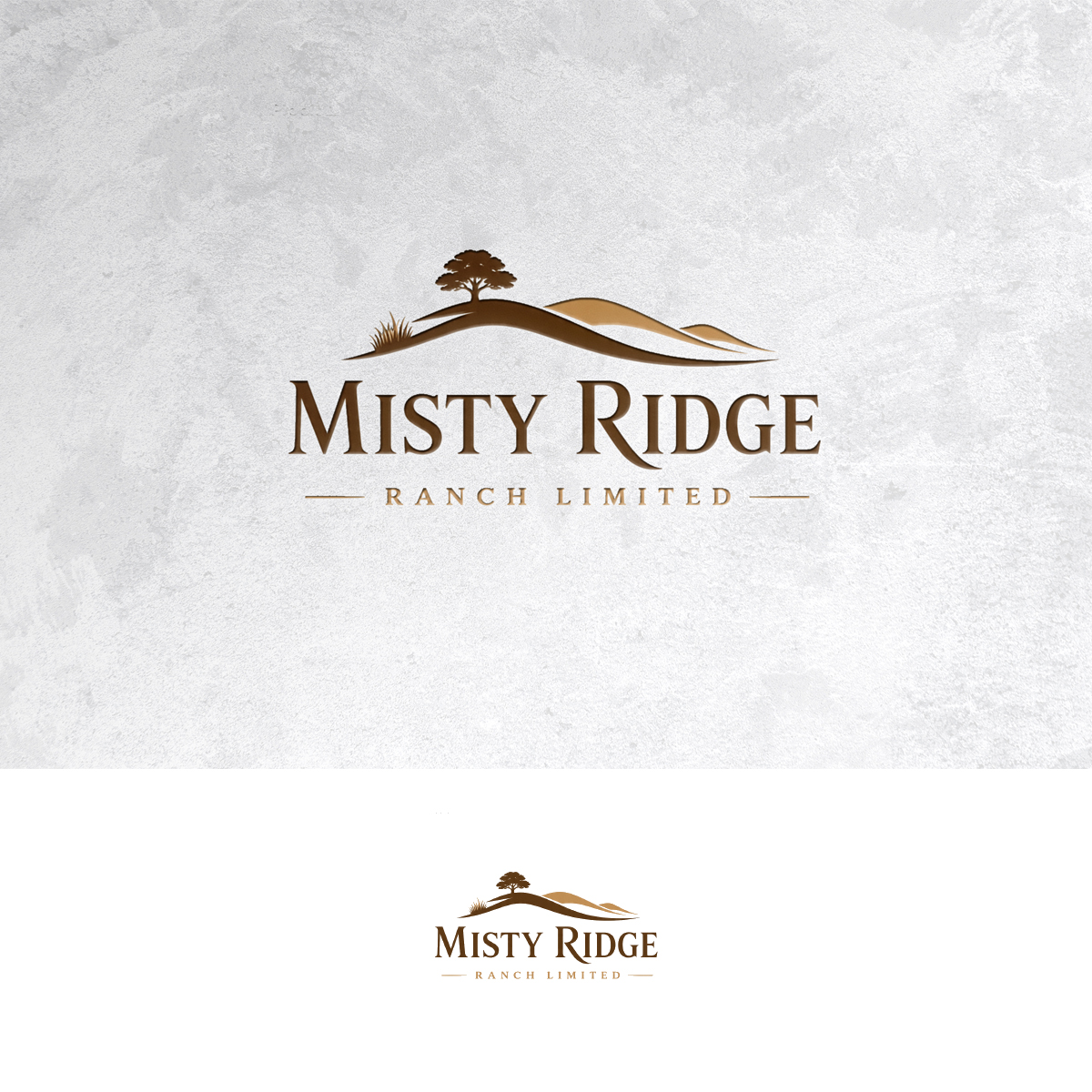 Logo Design by Sain G for this project | Design #37500750