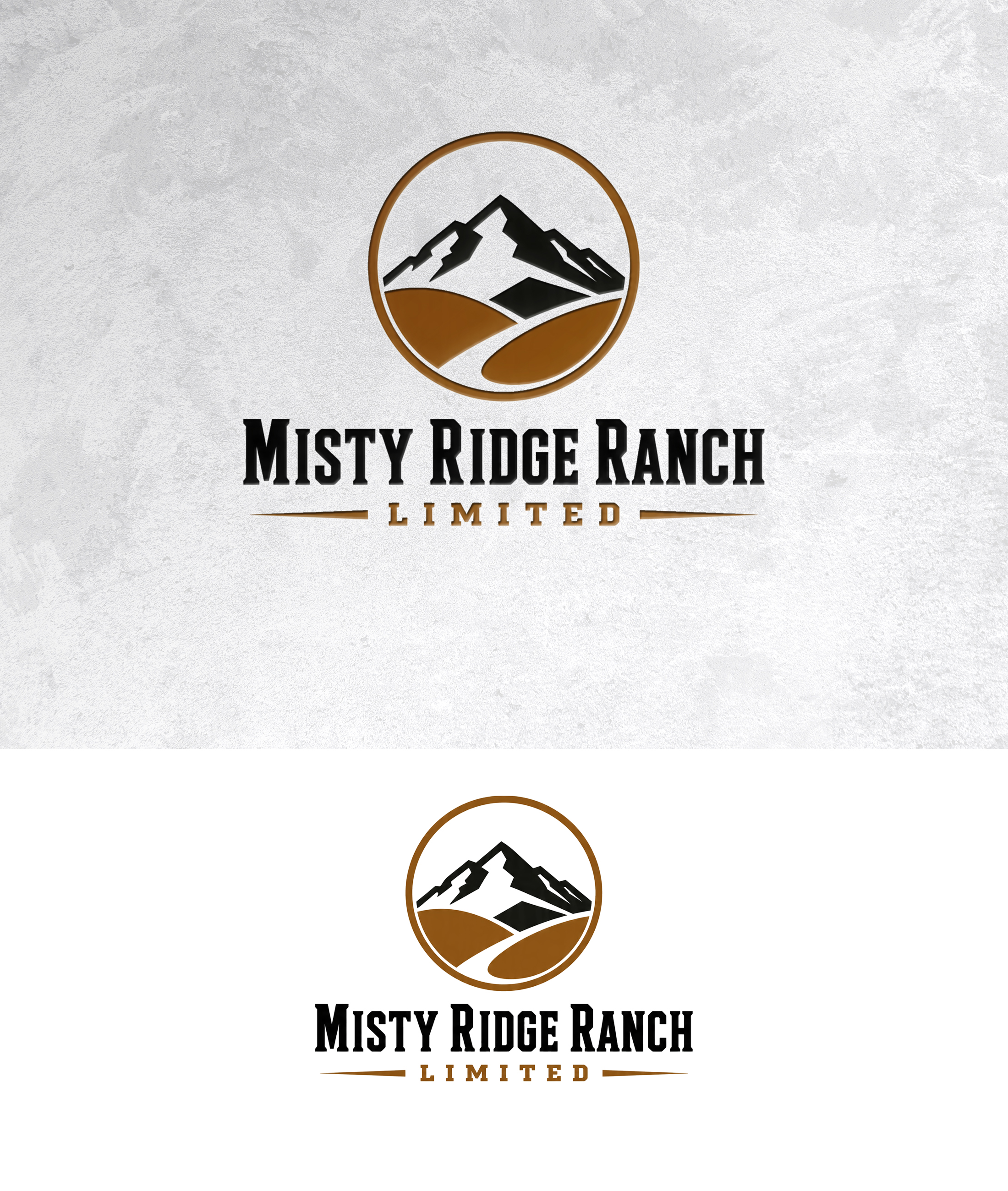 Logo Design by zamdi for this project | Design #37497595