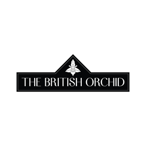Logo Design by JohnnyCactus