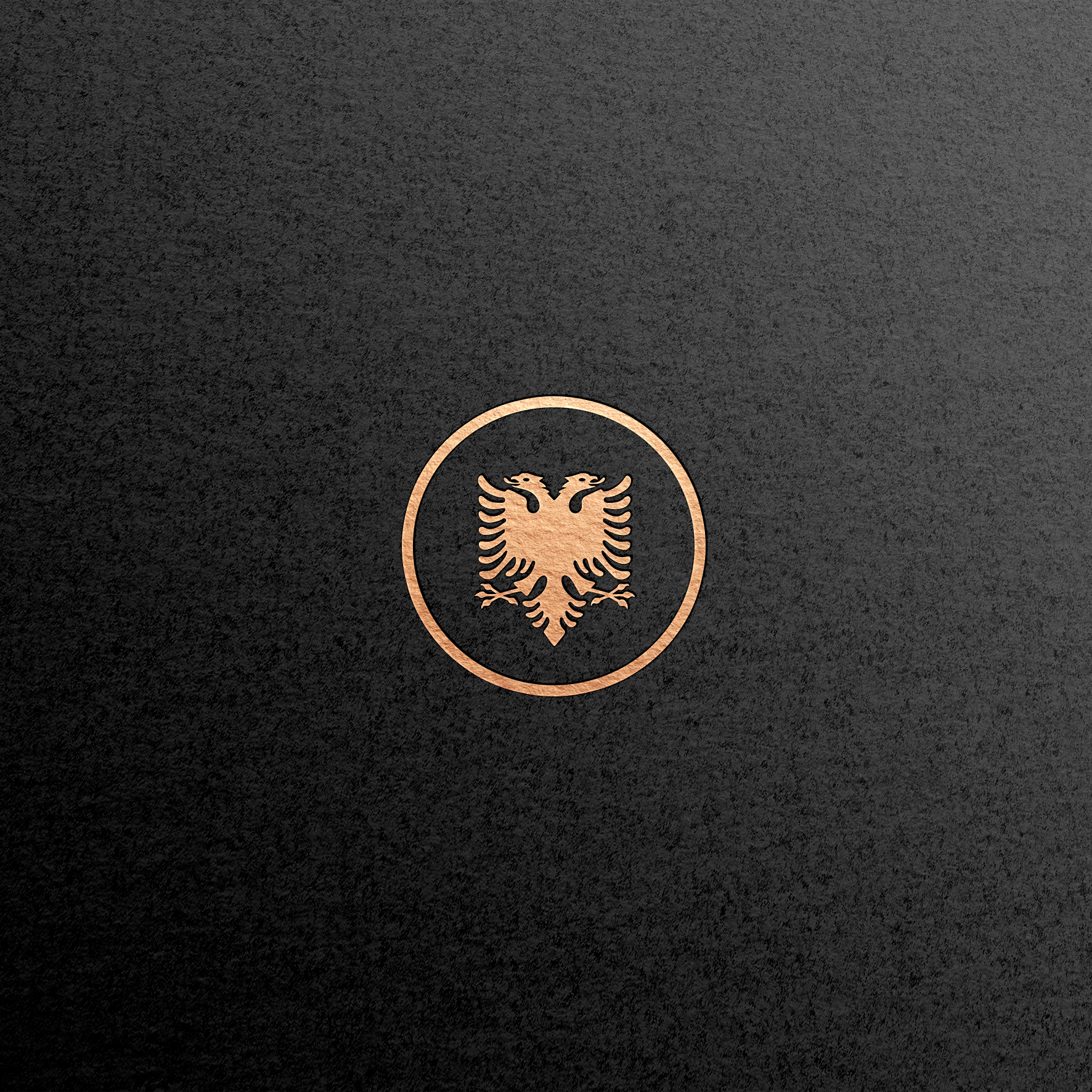 Logo-Design von Roman Designs für dieses Projekt | Design #37504788