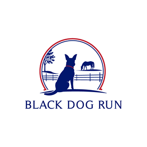 Logo Design by @Dh24 for this project | Design: #37527715