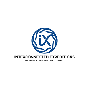 Logo Design by csz.design for this project | Design: #37514424