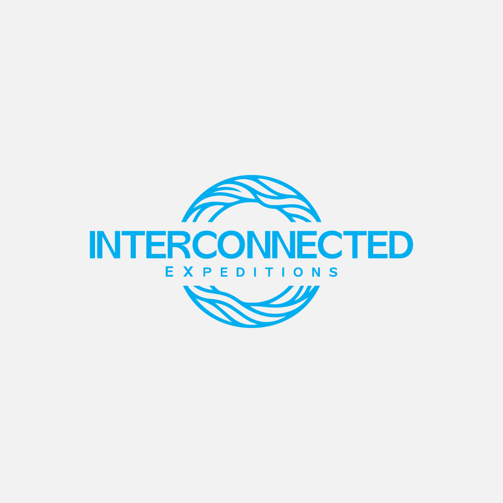 Logo Design by Adobe Expert 360 for this project | Design #37513038