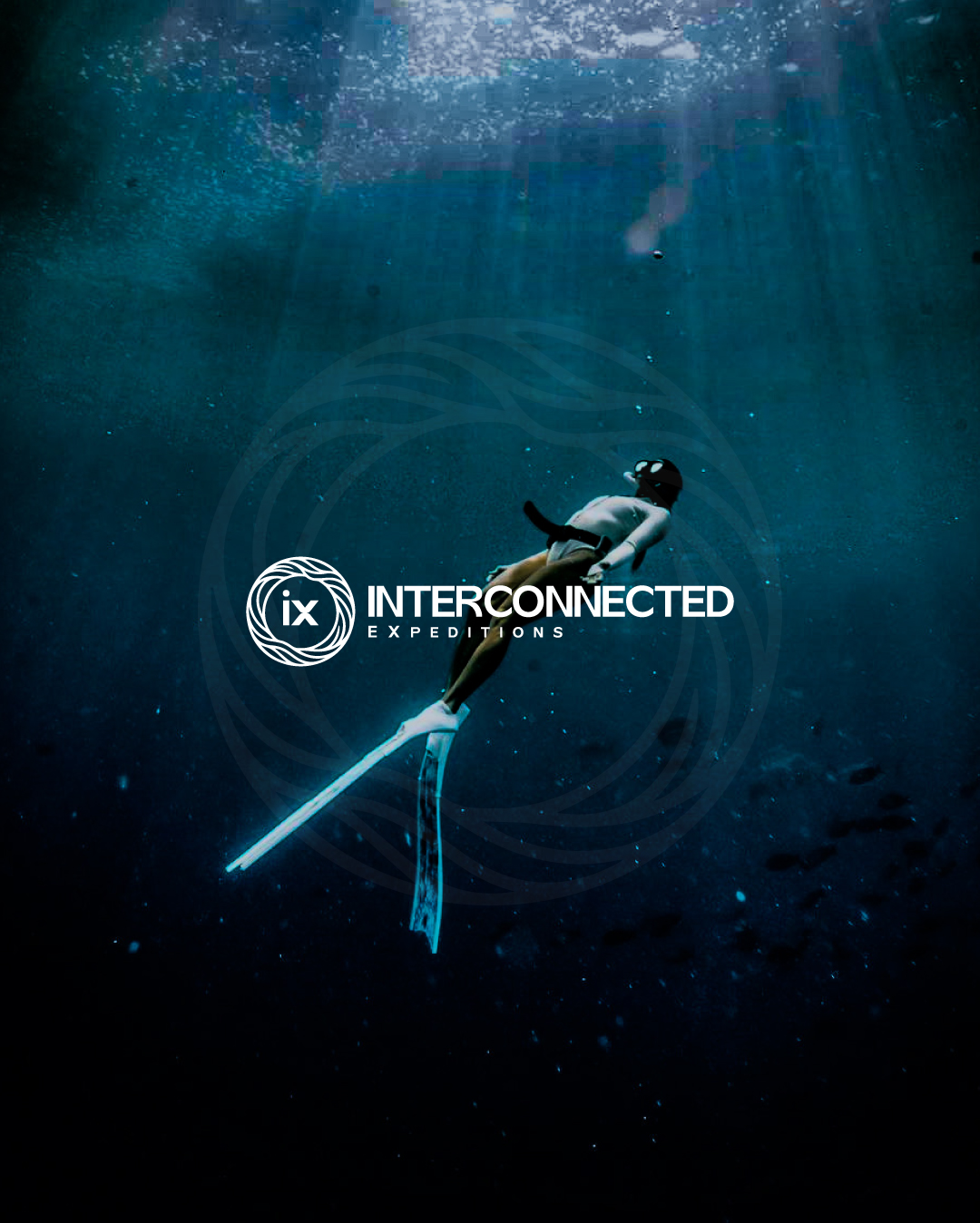 Logo Design by Adobe Expert 360 for this project | Design #37513039
