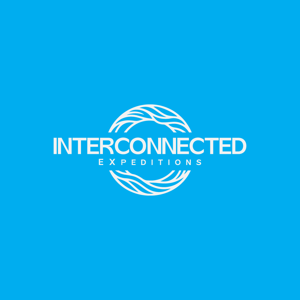 Logo Design by Adobe Expert 360 for this project | Design #37513040