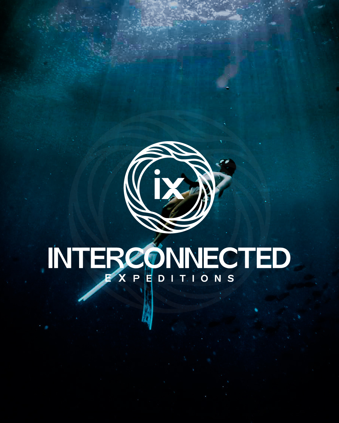 Logo Design by Adobe Expert 360 for this project | Design #37513041