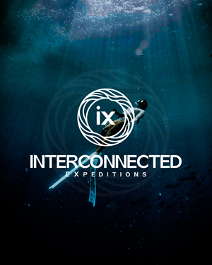 Logo Design by Adobe Expert 360 for this project | Design: #37513041