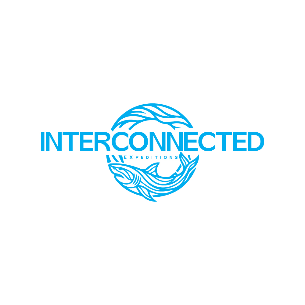 Logo Design by Adobe Expert 360 for this project | Design #37513942