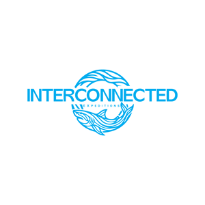Logo Design by Adobe Expert 360 for this project | Design: #37513942