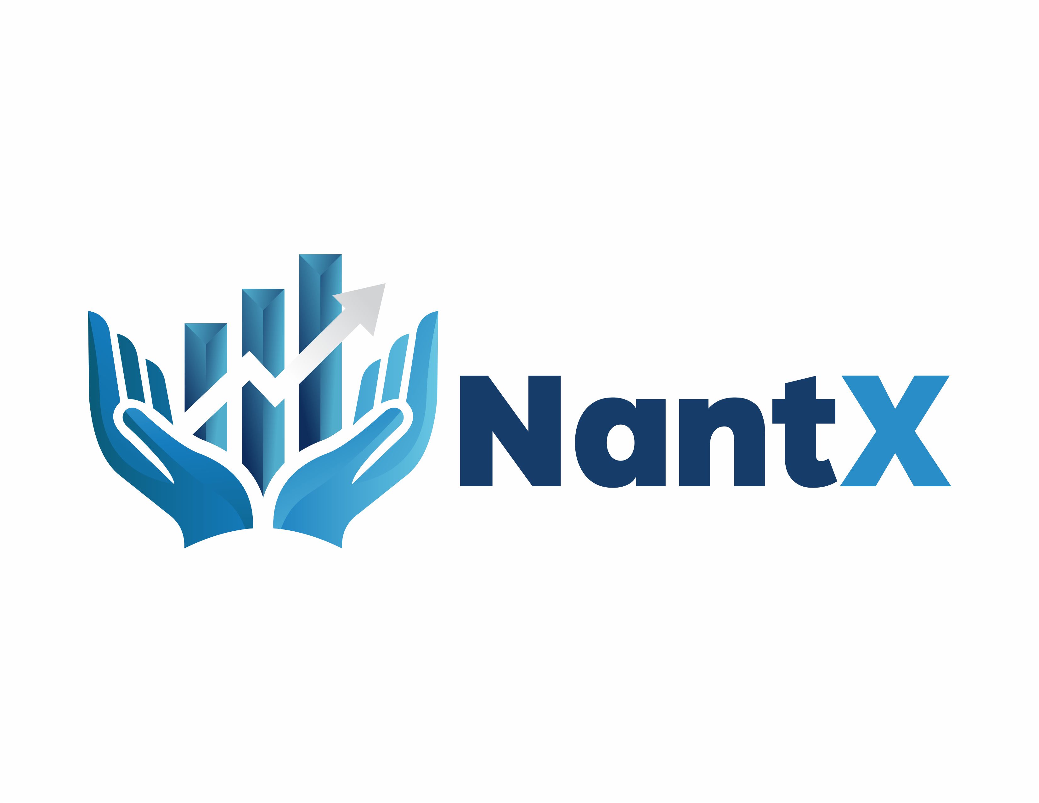 Logo Design by alkaline for Nant Global Finance | Design #37517349